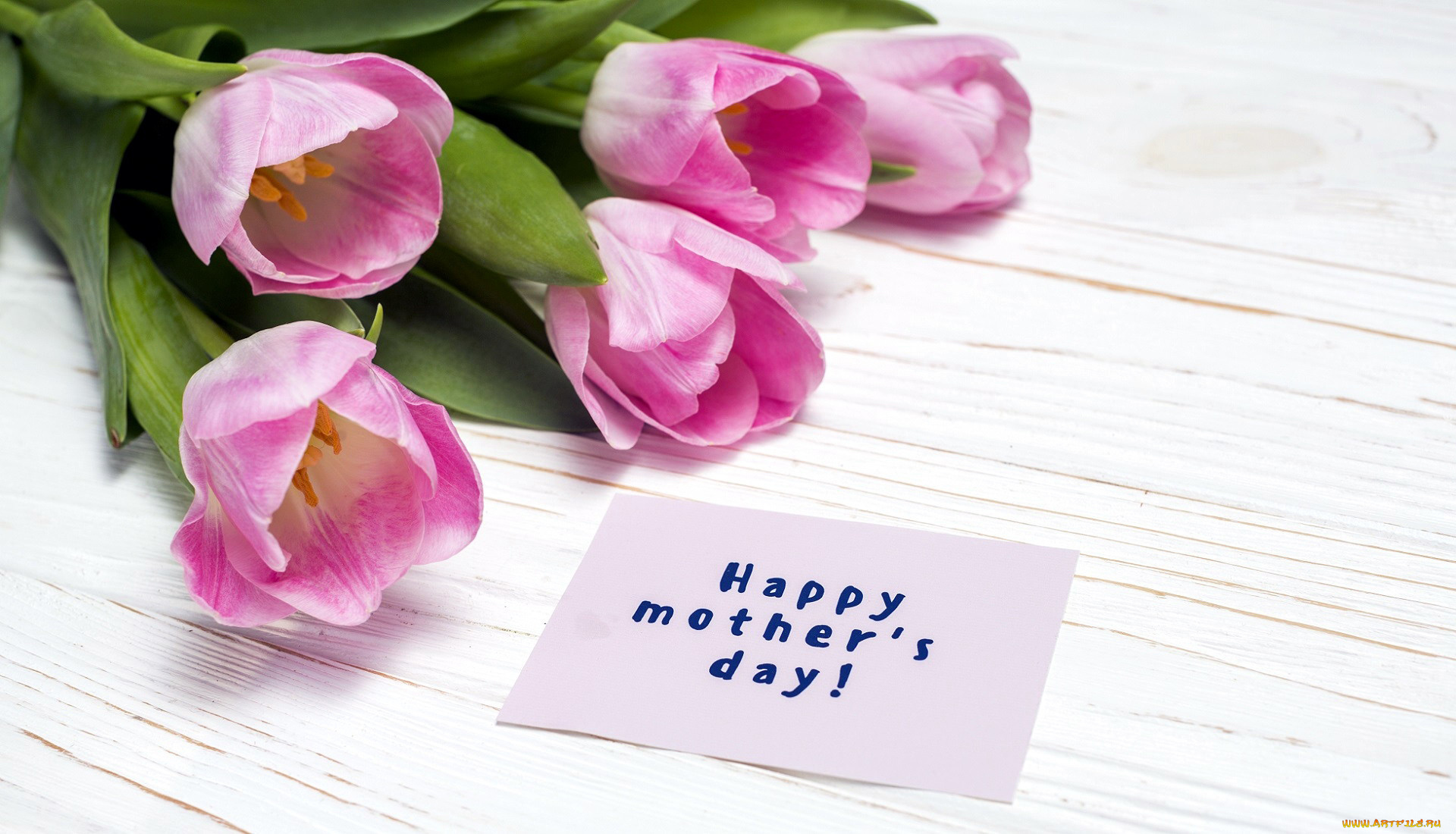 праздничные, день, матери, надпись, тюльпаны