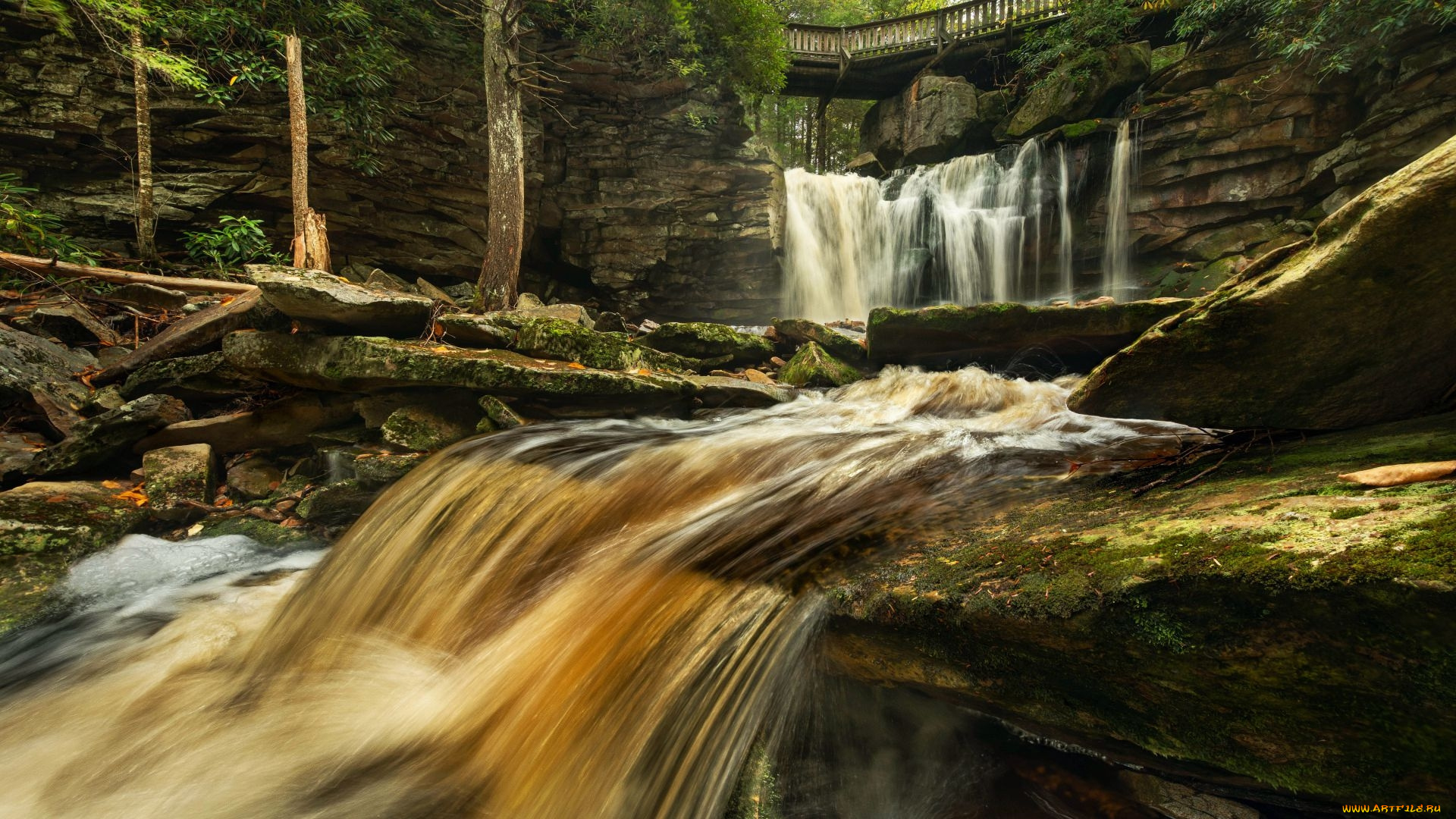 blackwater, falls, west, virginia, природа, водопады, blackwater, falls, west, virginia