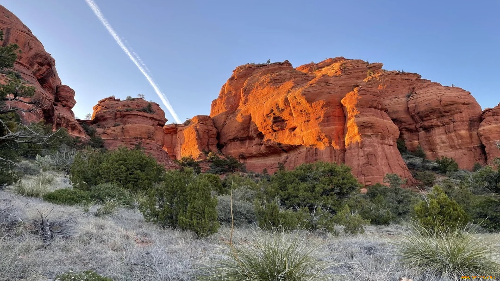 bear, mountain, sedona, arizona, природа, горы, bear, mountain