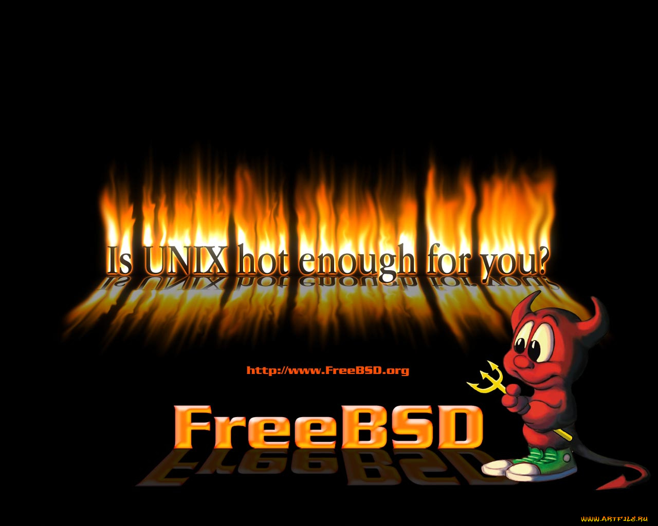 компьютеры, freebsd