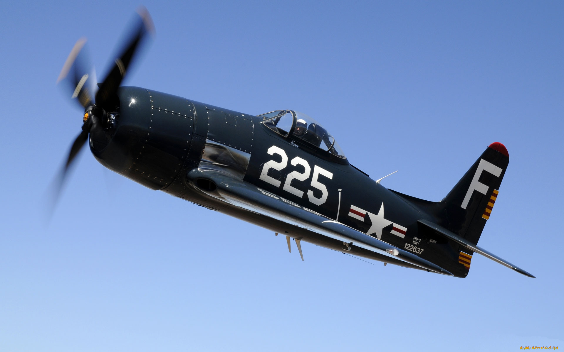 f8f, bearcat, авиация, лёгкие, одномоторные, самолёты, сша, исторический, ввс, исребитель