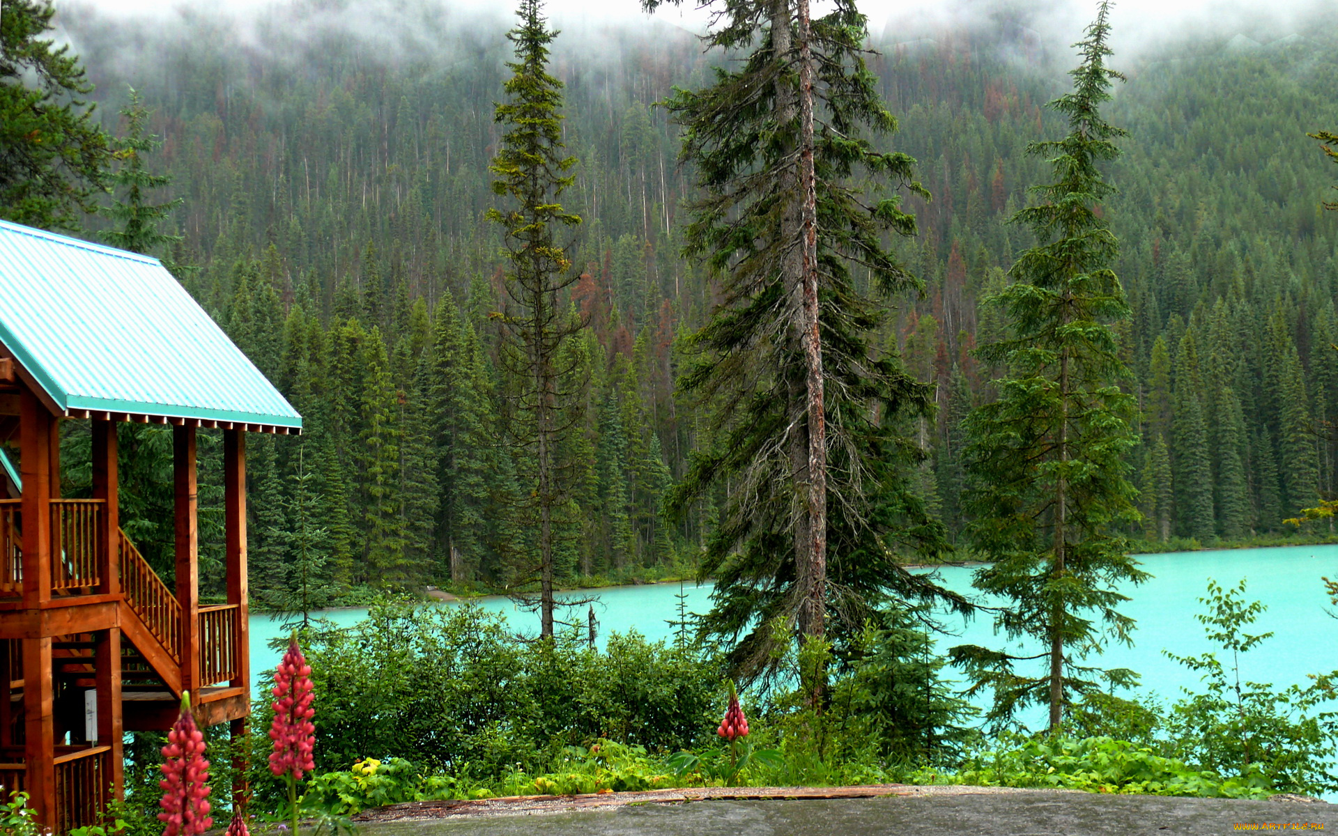 йохо, национальный, парк, canadа, природа, лес, река