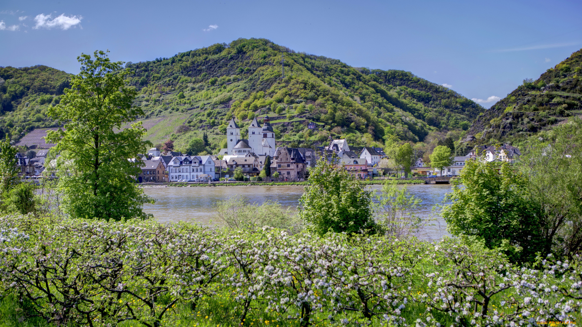 германия, трайс, карден, города, пейзажи, река, дома, пейзаж