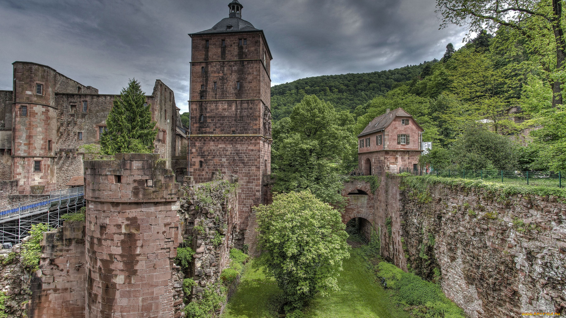 heidelberg, castle, germany, города, гейдельберг, германия, гейдельбергский, замок, деревья