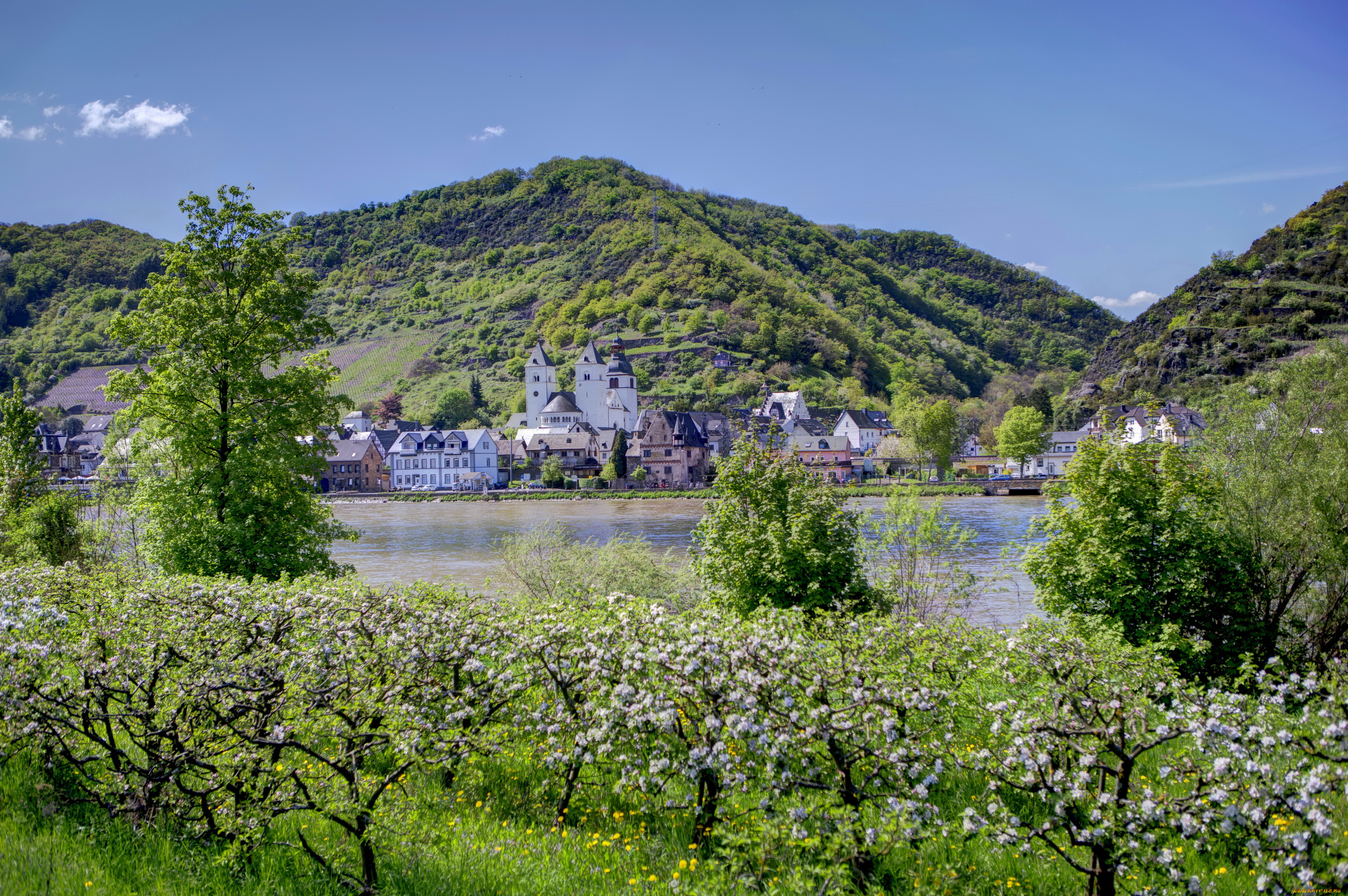 германия, трайс, карден, города, пейзажи, река, дома, пейзаж