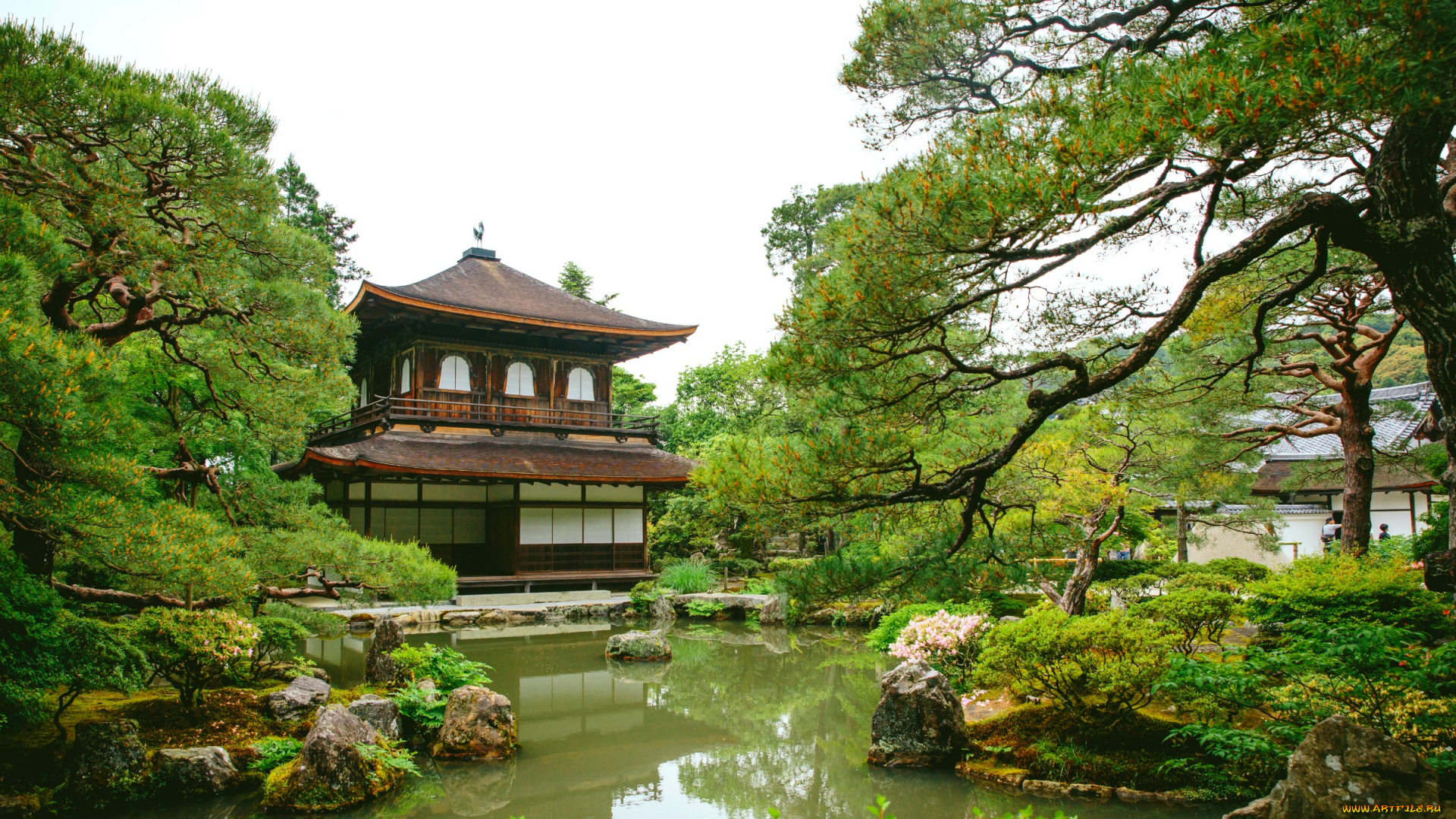 города, -, здания, , дома, пруд, вода, сосны, парк, зелень, пагода, Япония
