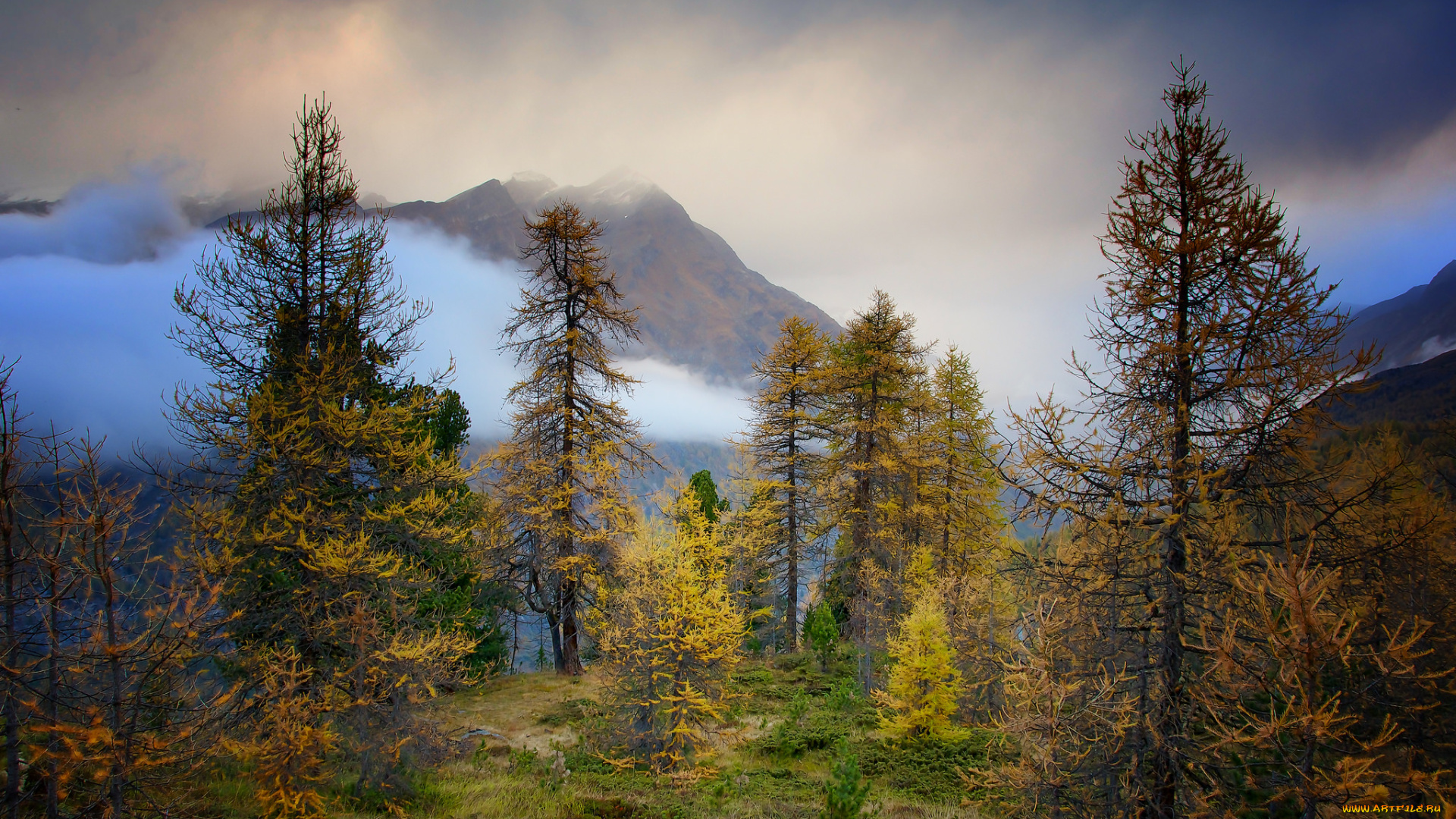 природа, пейзажи, вершины, осень, лес