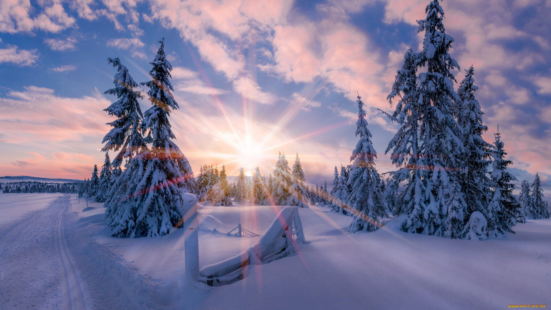 природа, зима, норвегия, свет, солнце, звезда, утро, снег