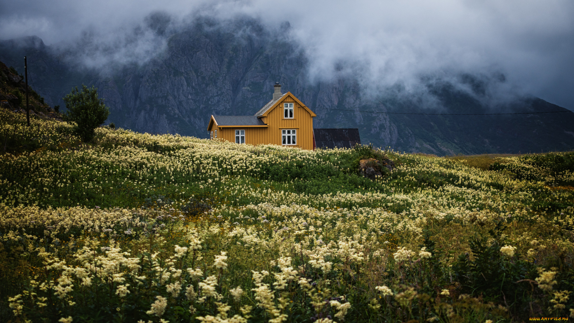 yellow, house, города, -, пейзажи, горы, шале, луг