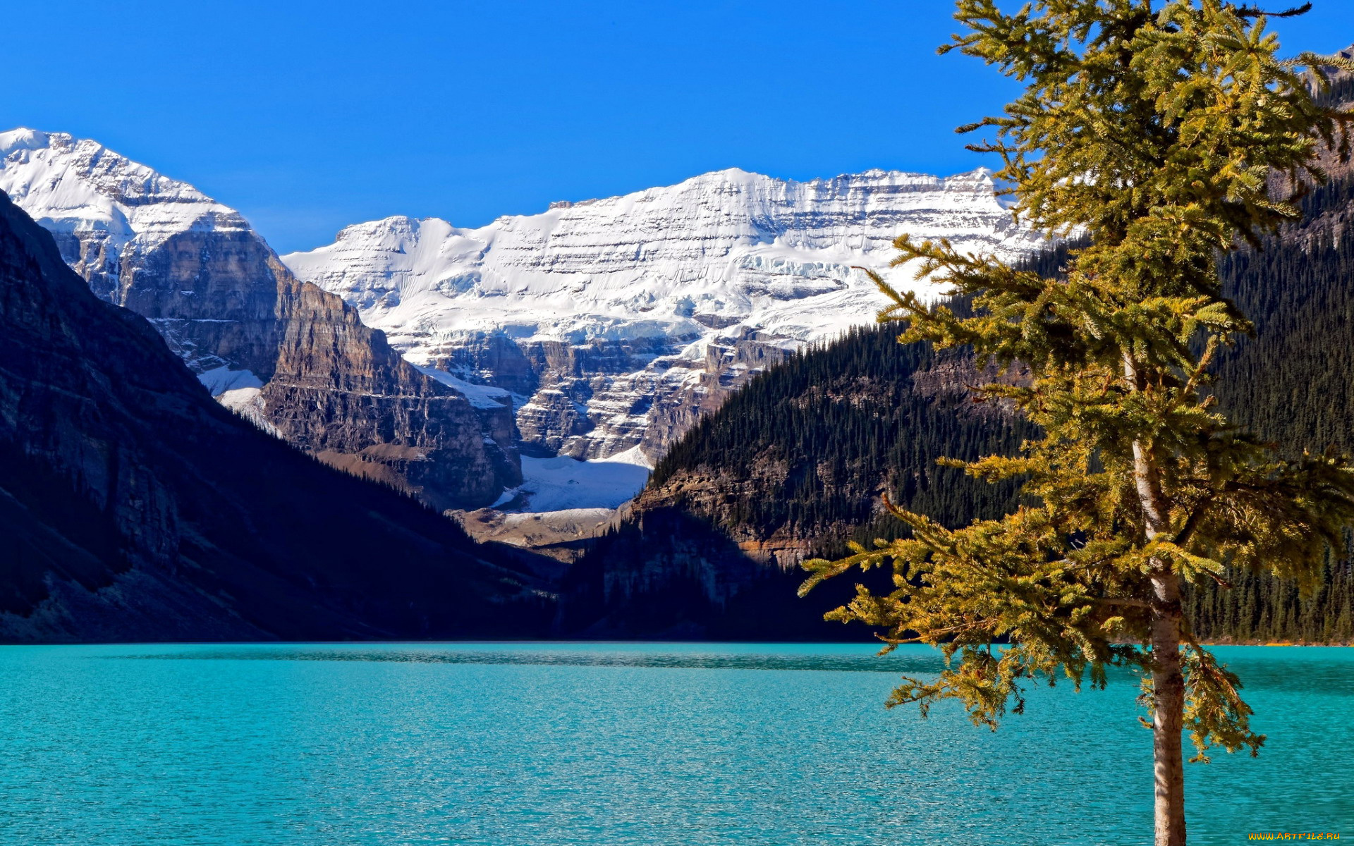 lake, louise, banff, national, park, canada, природа, реки, озера, lake, louise, banff, national, park