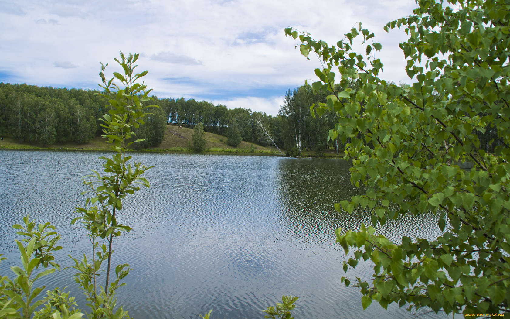 природа, реки, озера, вода, деревья