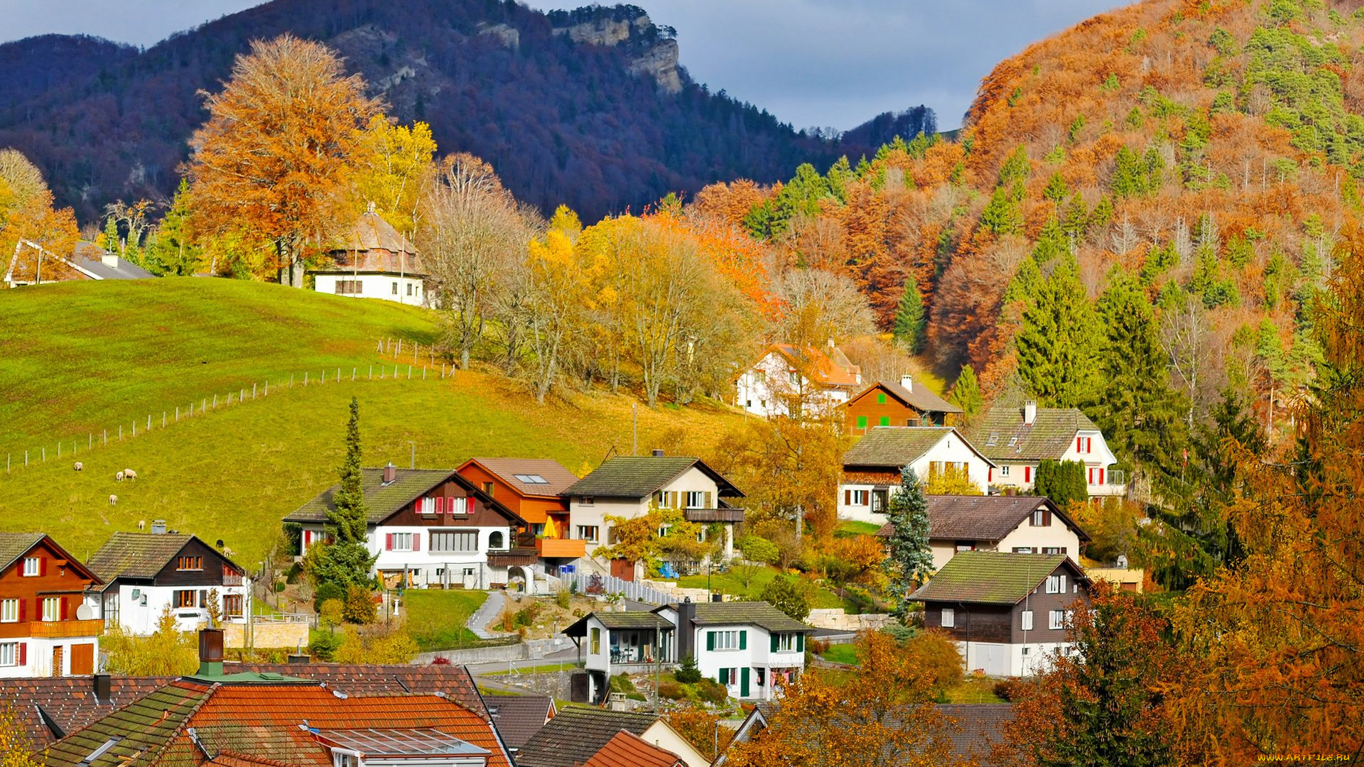 switzerland, города, пейзажи, швейцария, городок, горы, леса, дома, деревья