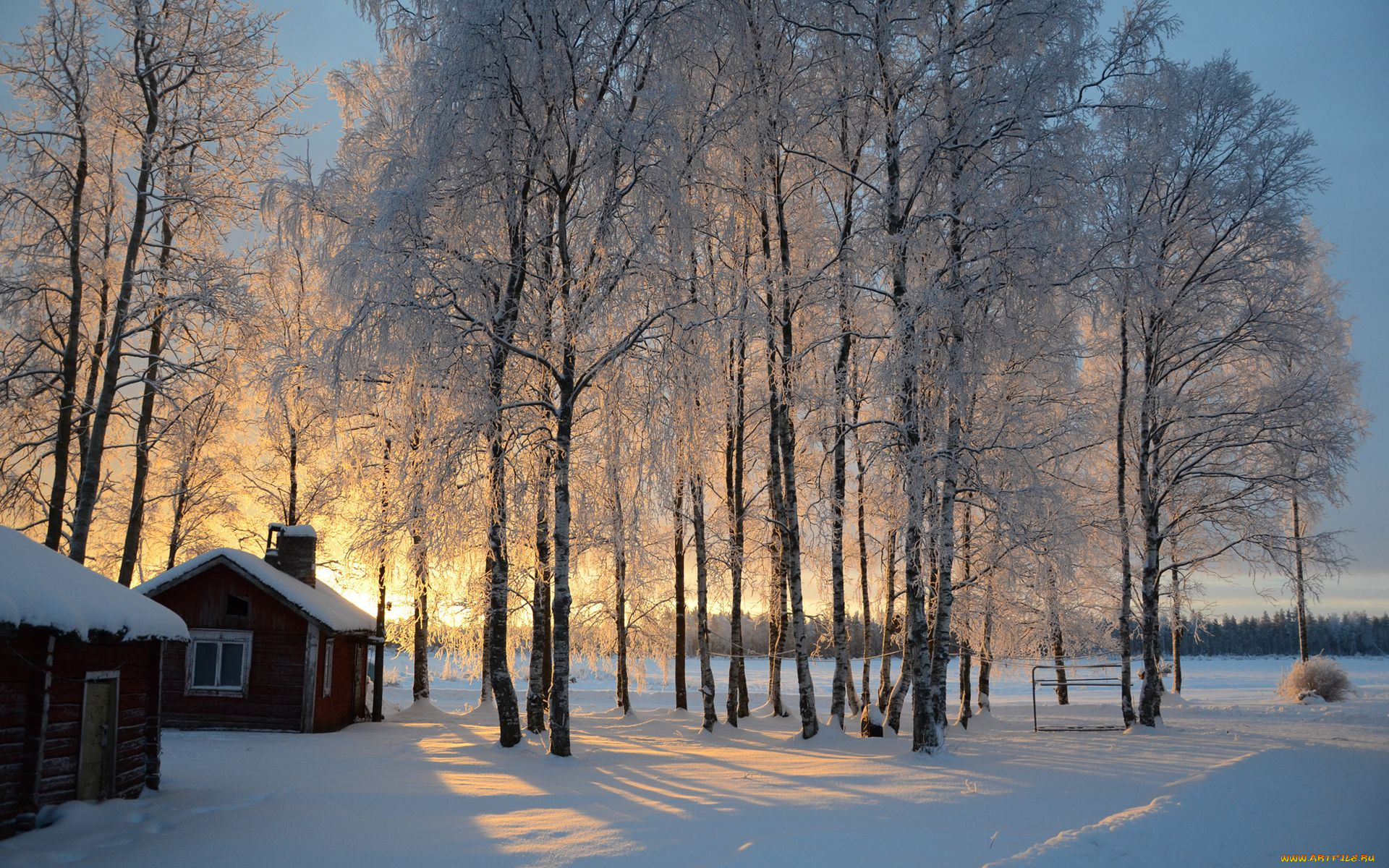 finland, природа, зима, хижина, финляндия, пейзаж, деревья, снег, берёзы, восход