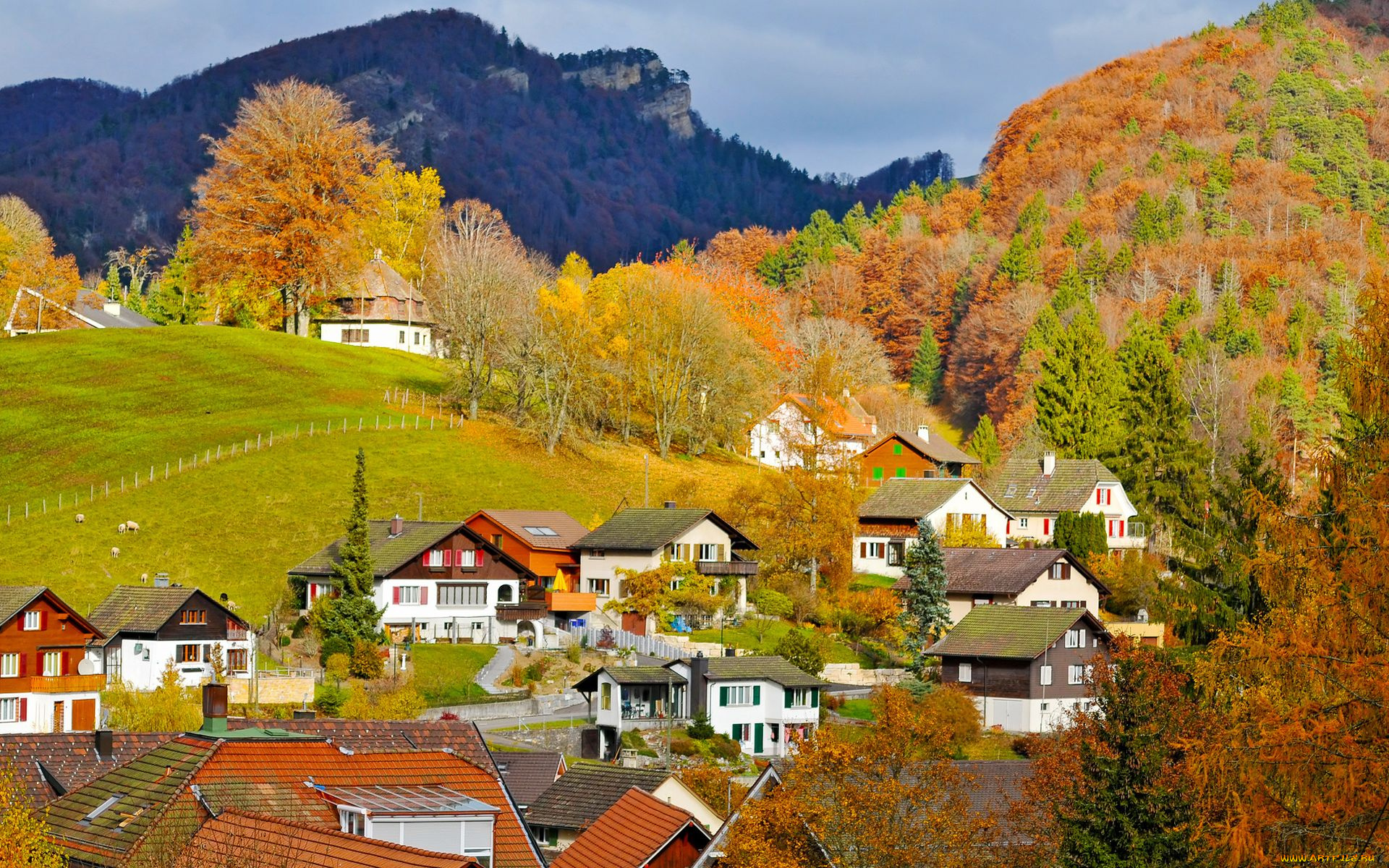 switzerland, города, пейзажи, швейцария, городок, горы, леса, дома, деревья