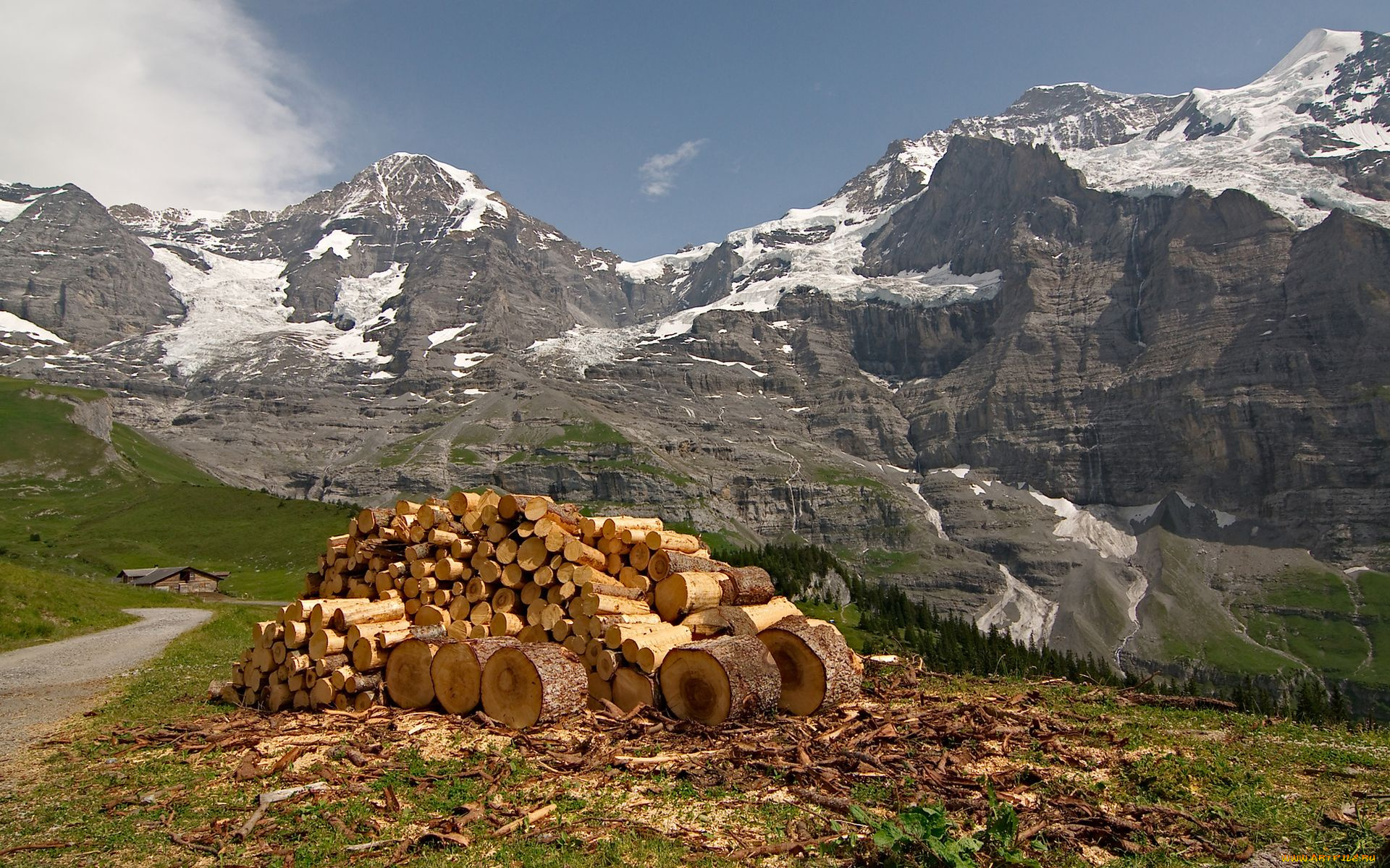 switzerland, природа, горы, дрова, снег, пейзаж, вершины, швейцария