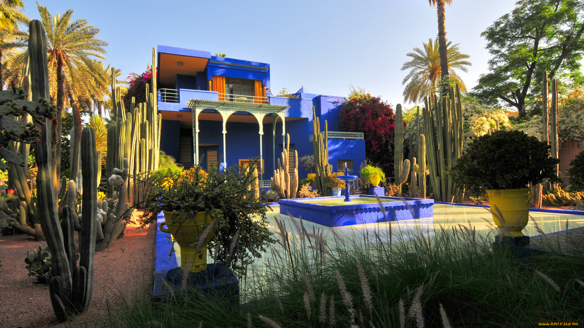 morocco, marrakech, jardin, majorelle, города, здания, дома, сад, королевский