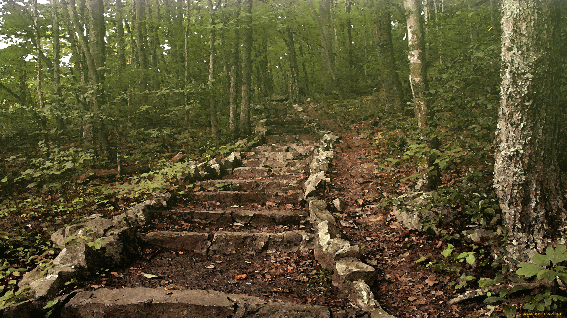 steps, to, pinnacle, rock, разное, компьютерный, дизайн, лес, стволы, лесница