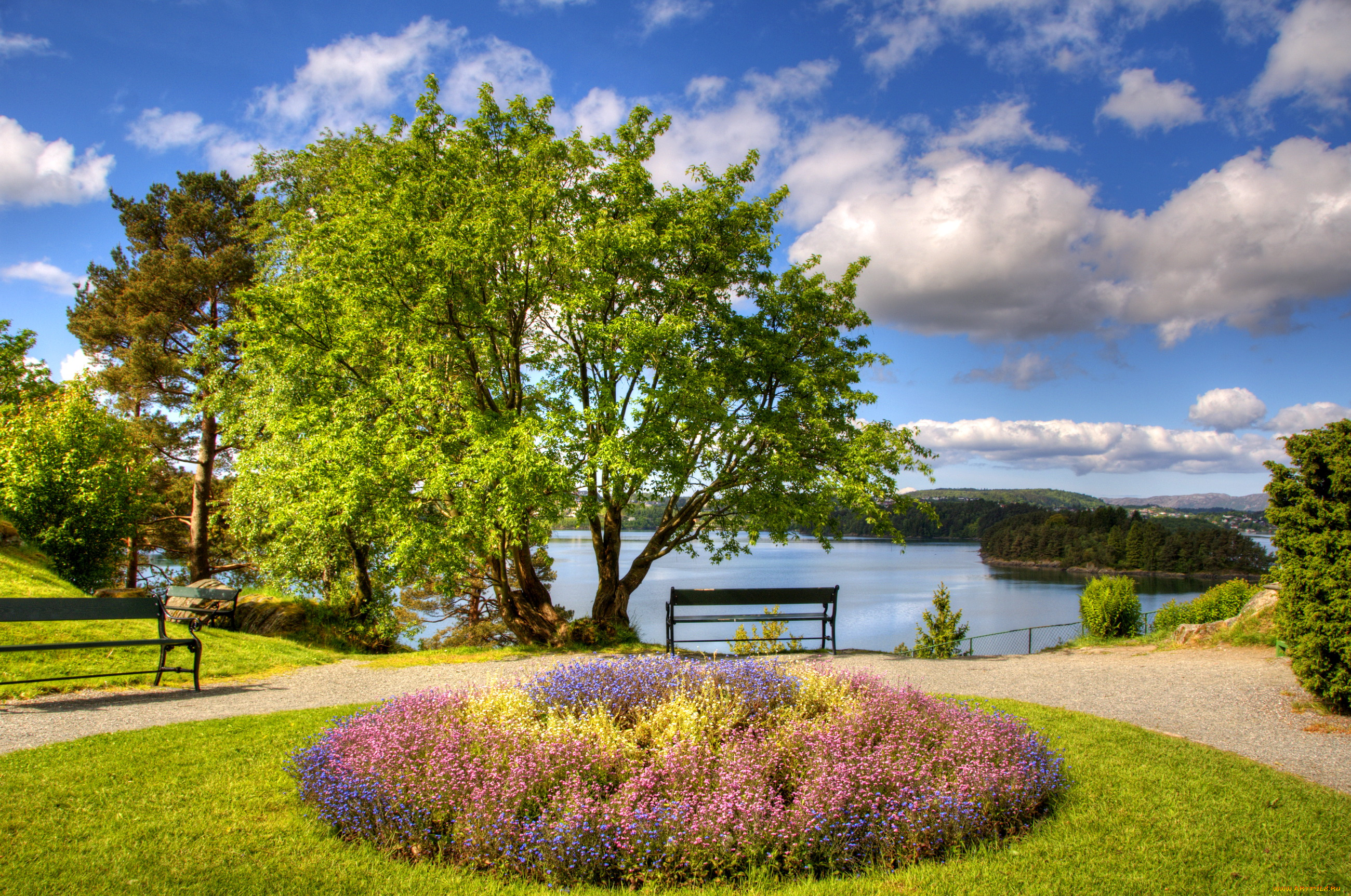 норвегия, берген, природа, парк, клумба, цветы, река