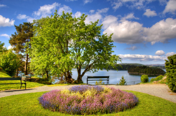 Картинка норвегия берген природа парк клумба цветы река