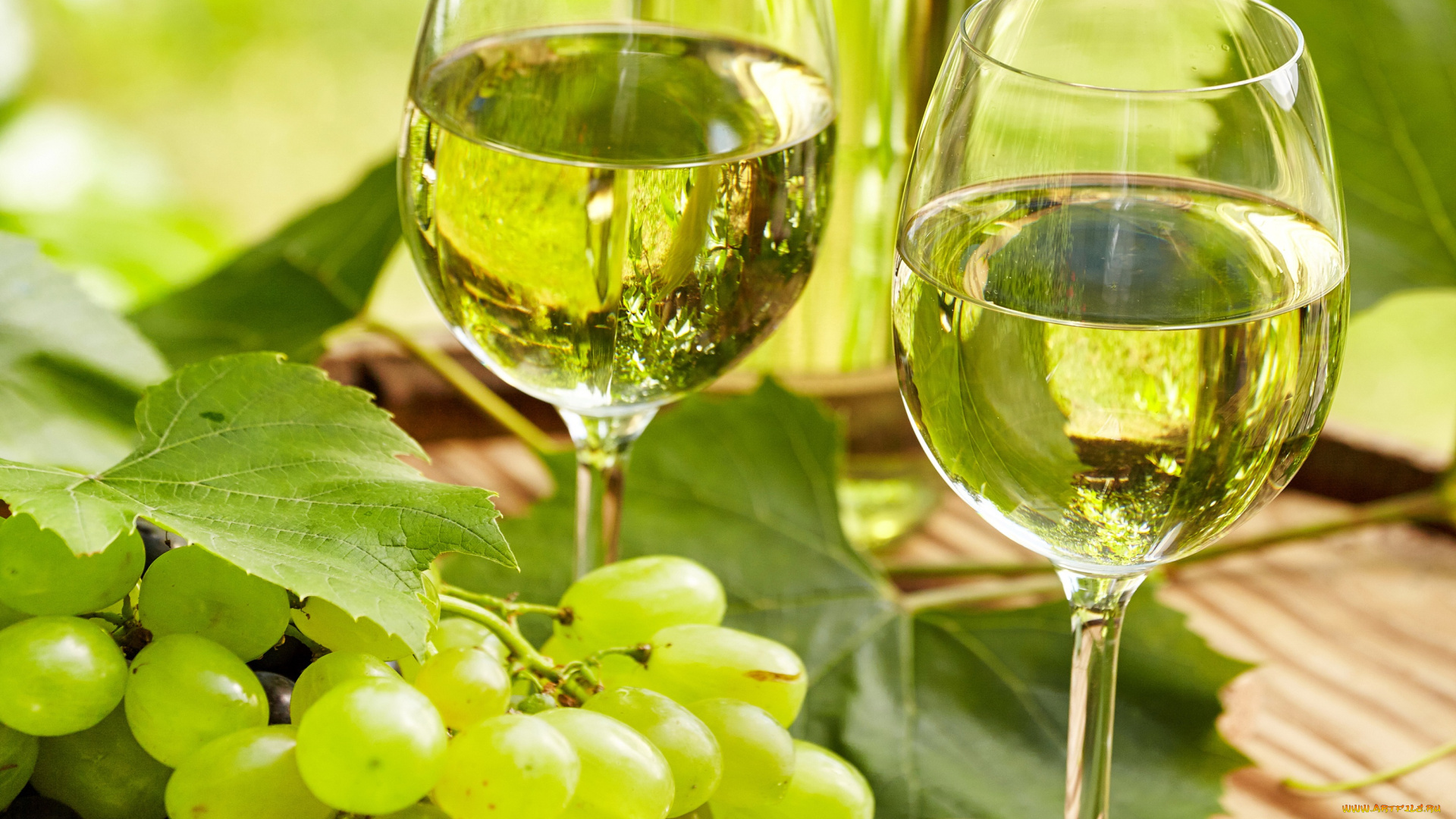 еда, напитки, , вино, бутылка, пробка, листья, боке, вино, бокалы, зеленый, виноград