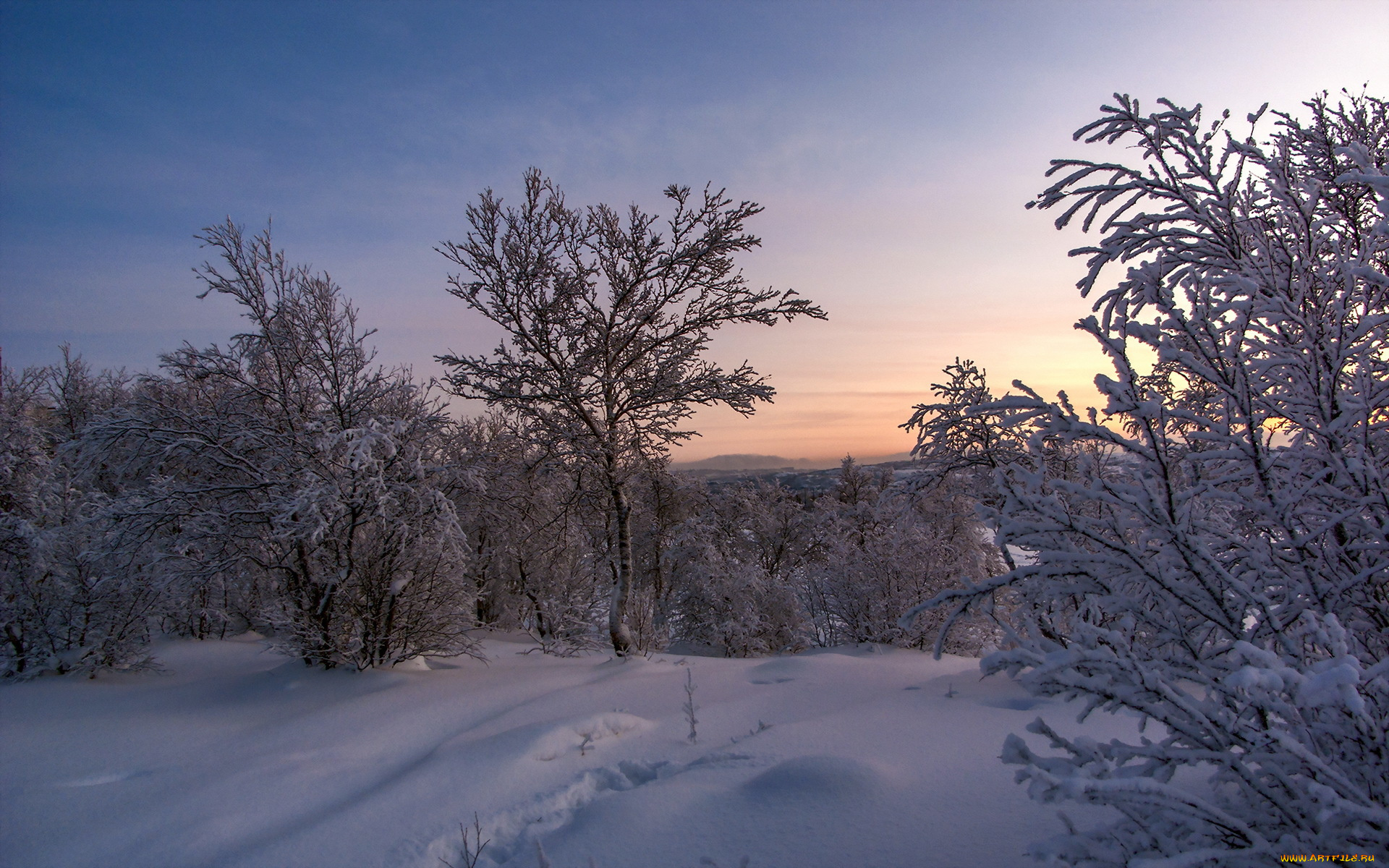 природа, зима, снег, деревья, закат