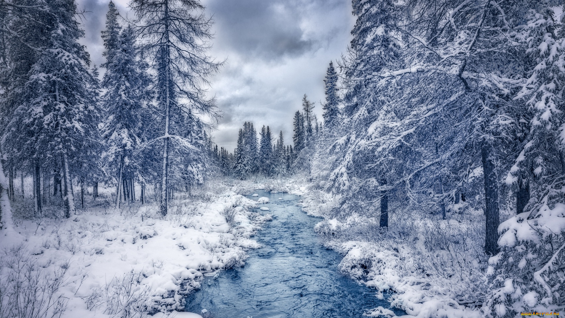 природа, зима, тучи, водоем, снег, деревья