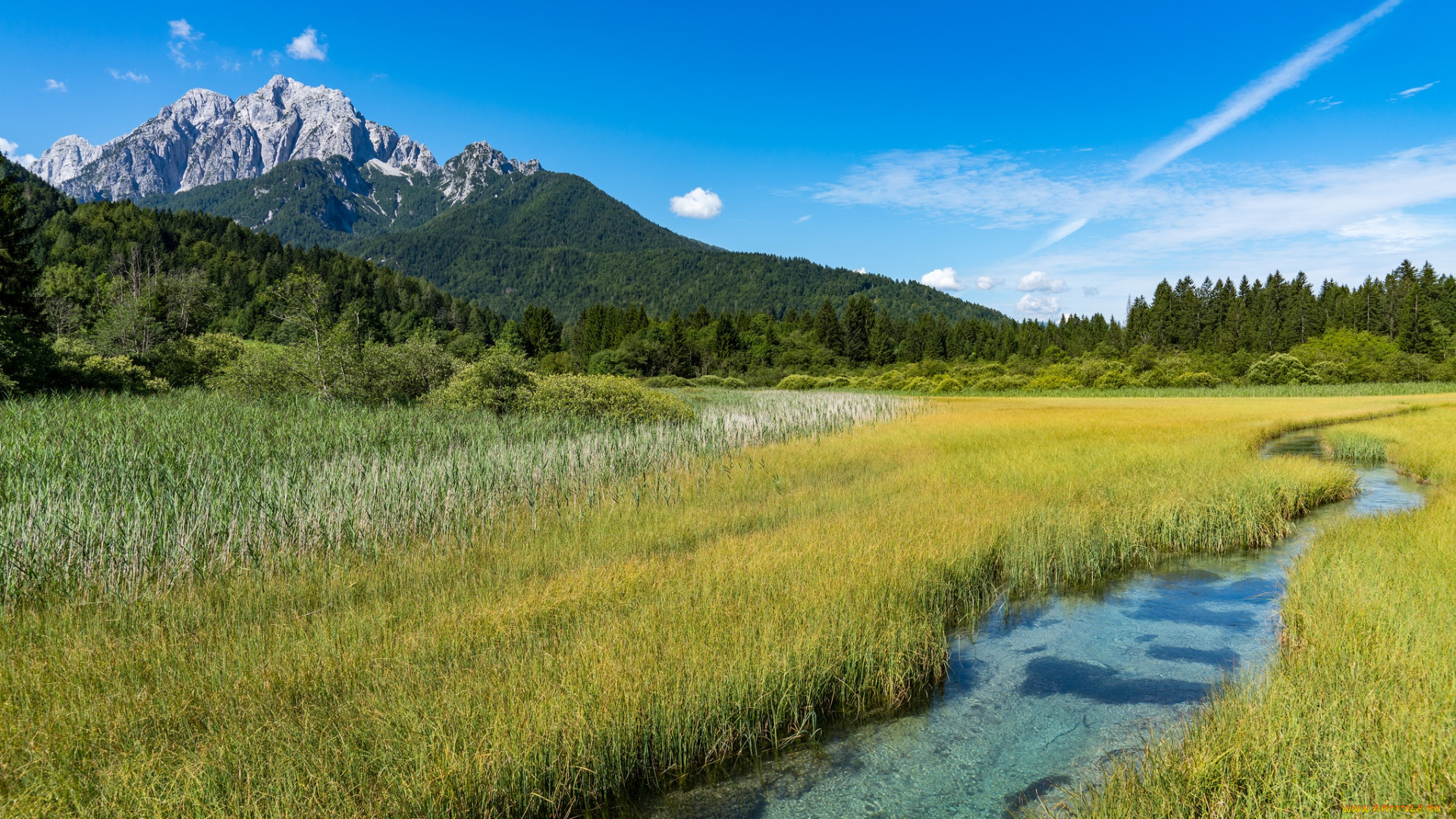 природа, реки, озера, kranjska, gora, zelenci, словения