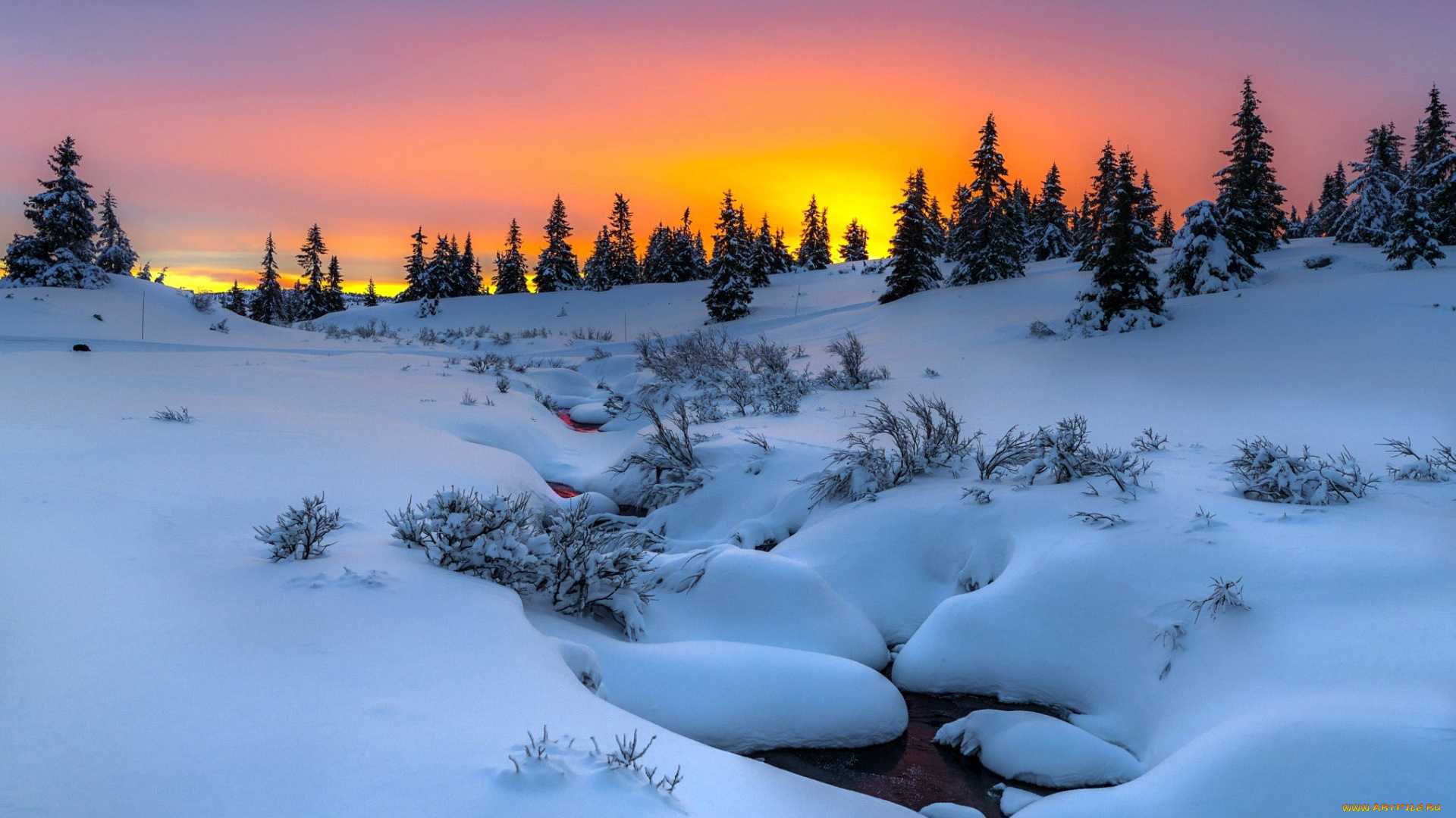 природа, зима, закат