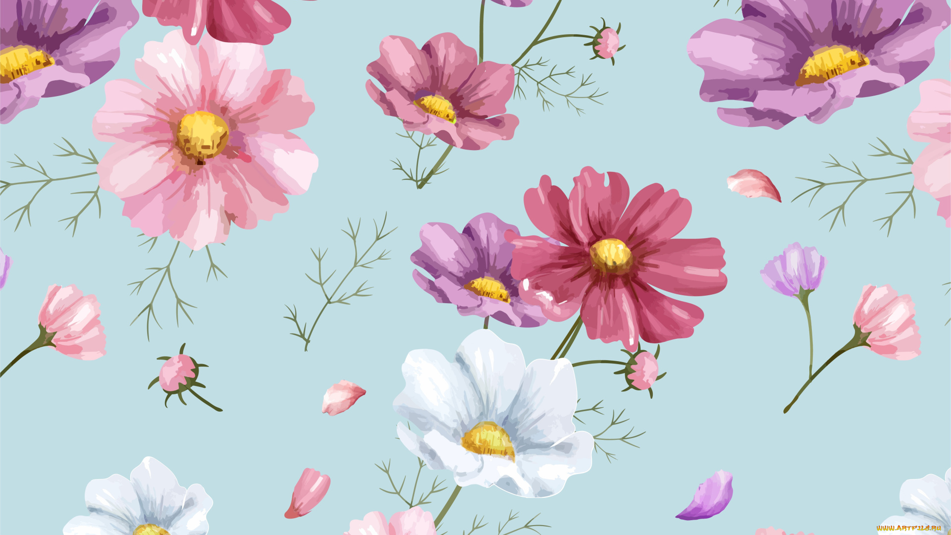 векторная, графика, цветы, , flowers, floral, cosmos, фон, цветы, pink, орнамент, colorful, рисунок, pattern, background, цветочный