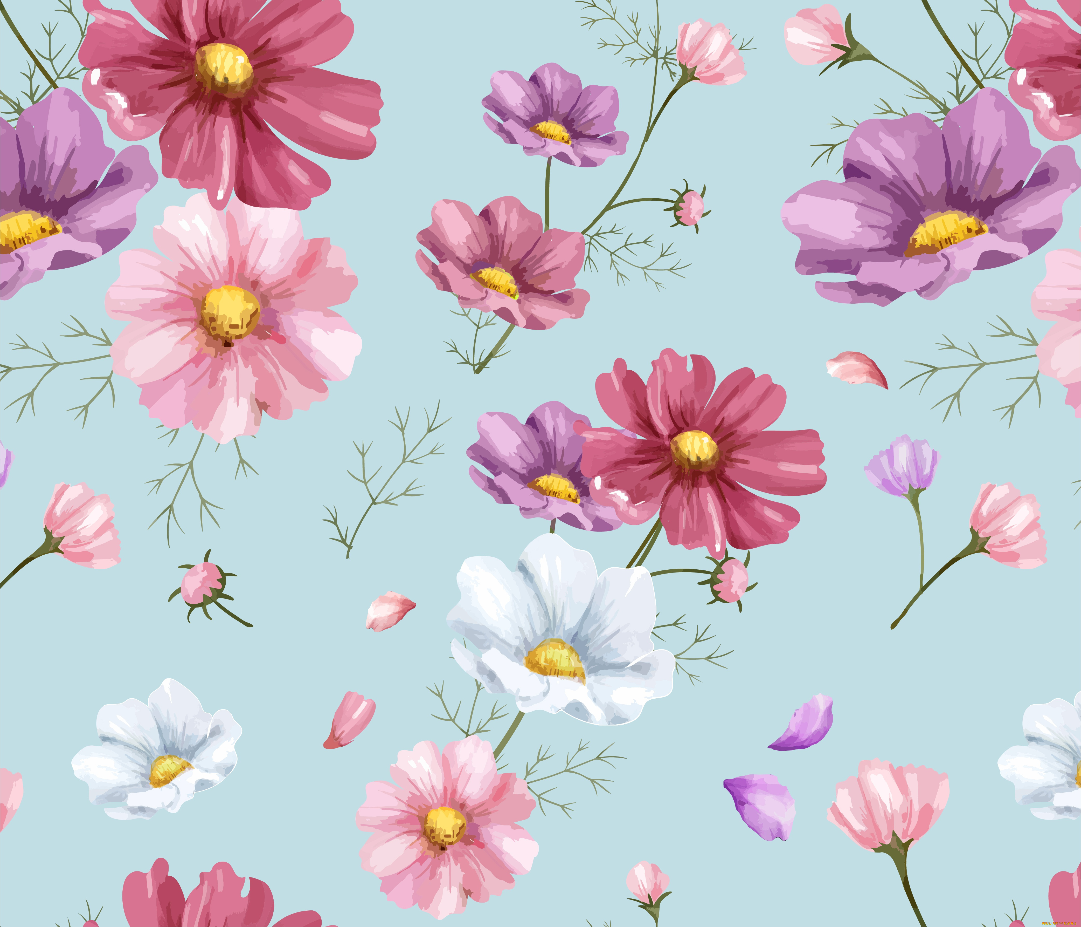 векторная, графика, цветы, , flowers, floral, cosmos, фон, цветы, pink, орнамент, colorful, рисунок, pattern, background, цветочный