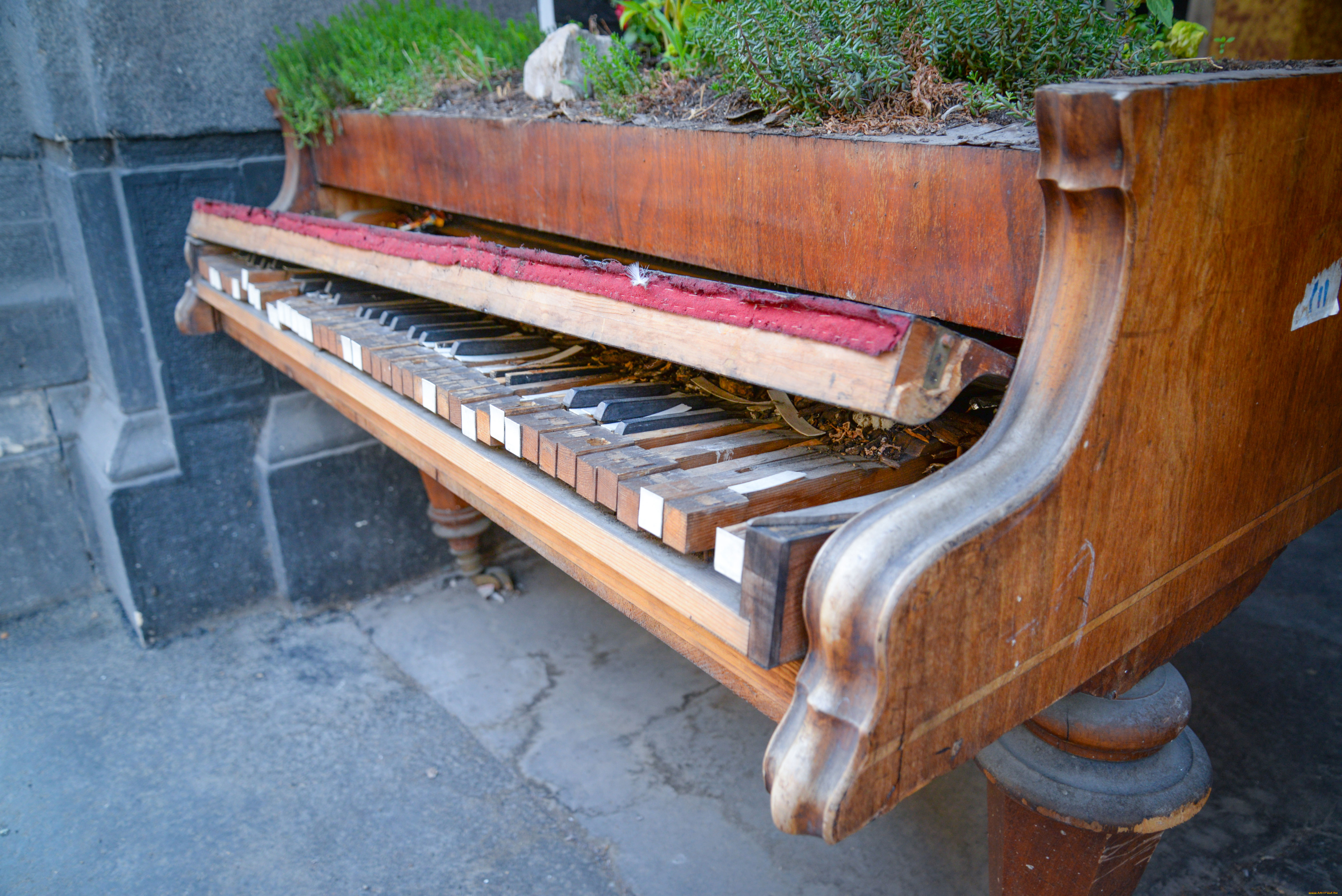 музыка, -музыкальные, инструменты, пианино, улица