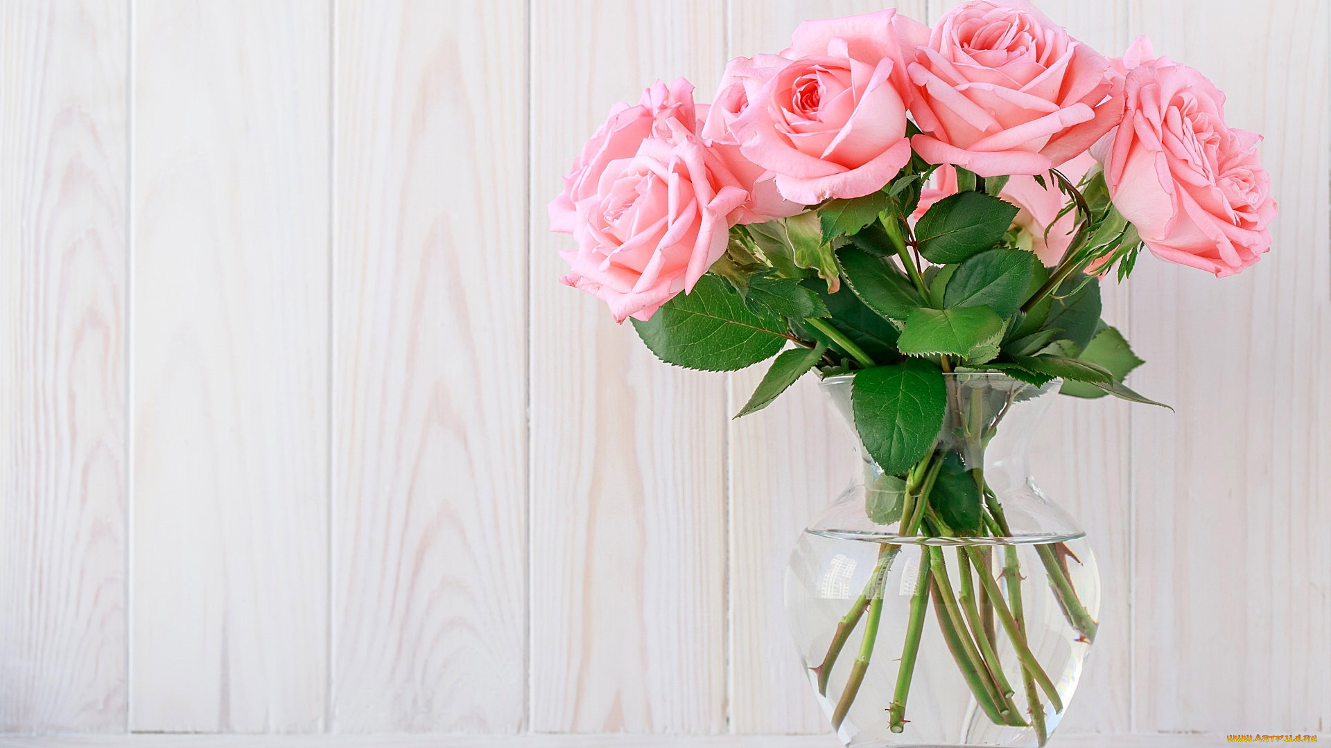 цветы, розы, ваза, розовый, букет
