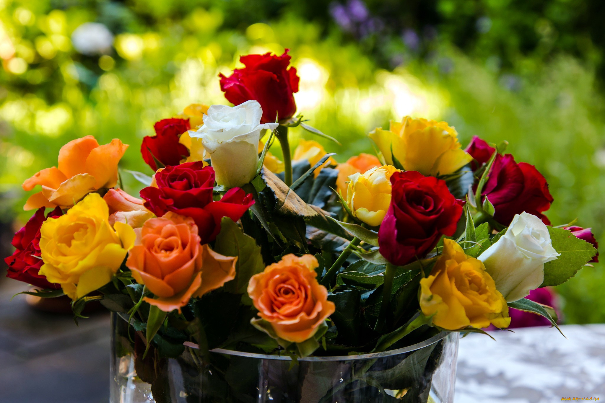 цветы, розы, бутоны, букет, разноцветный