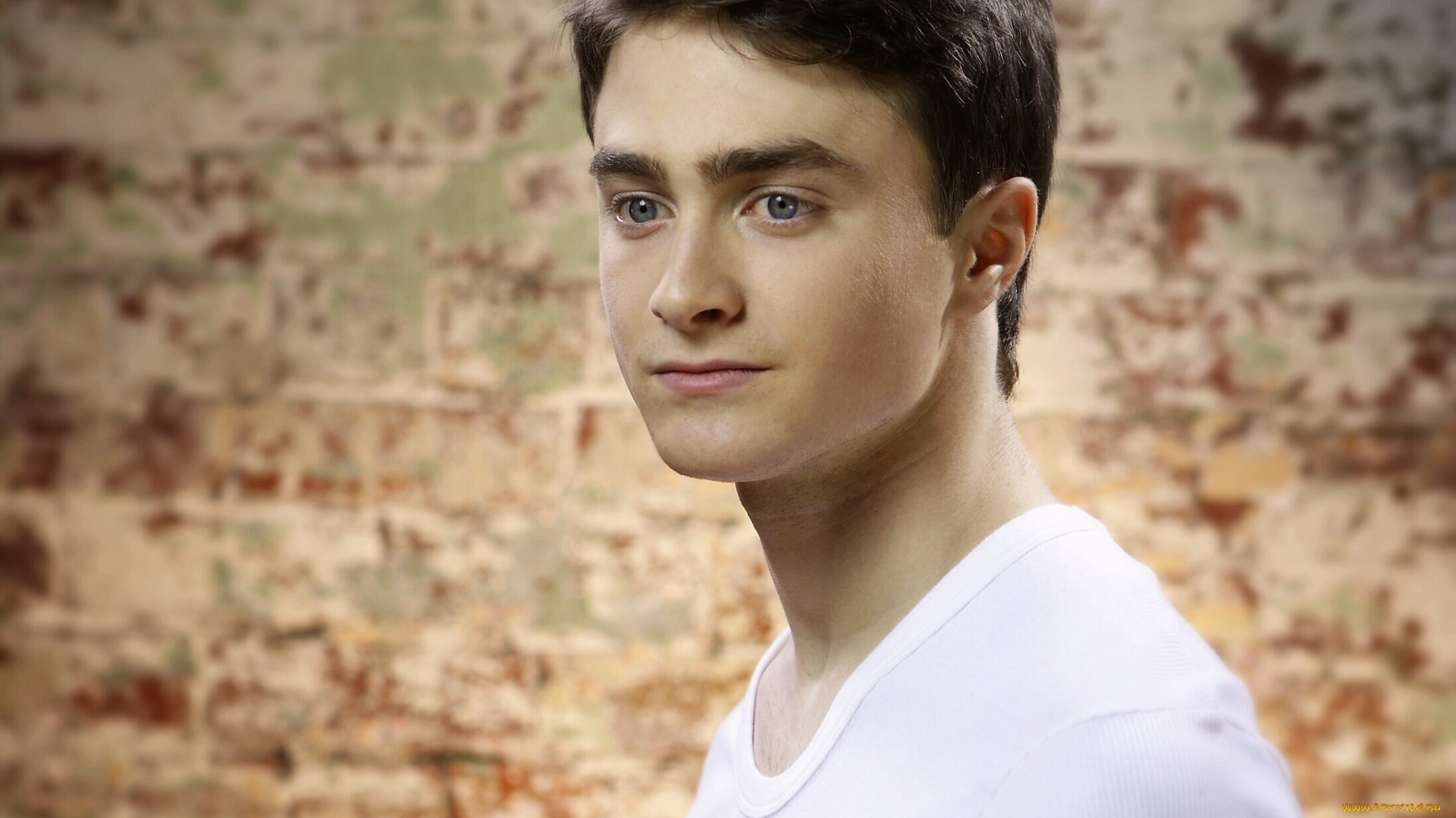 мужчины, daniel, radcliffe, актер, лицо, стена