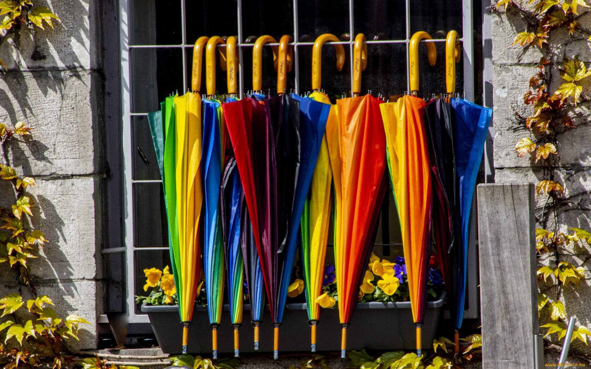 разное, сумки, , кошельки, , зонты, разноцветные, зонтики