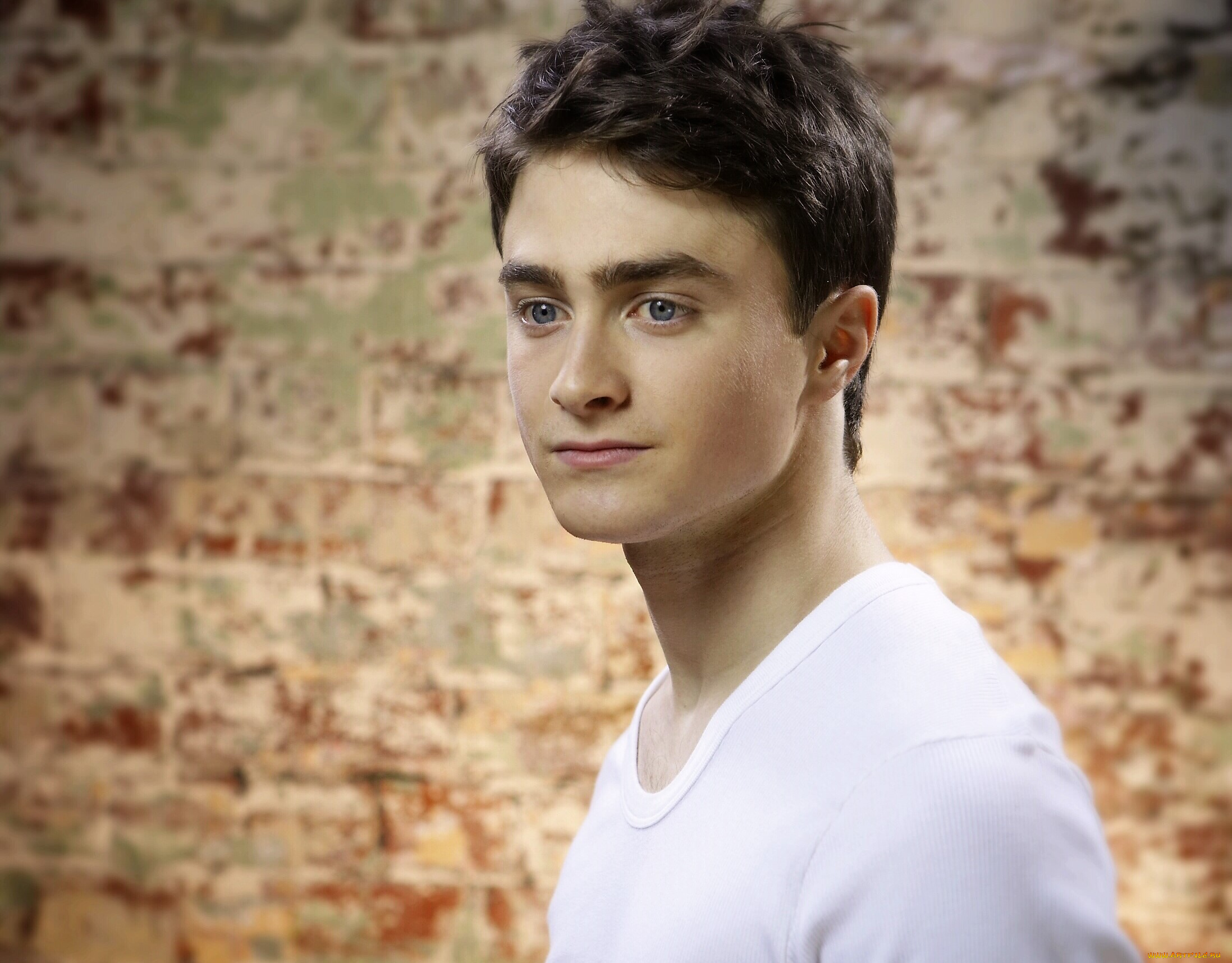 мужчины, daniel, radcliffe, актер, лицо, стена