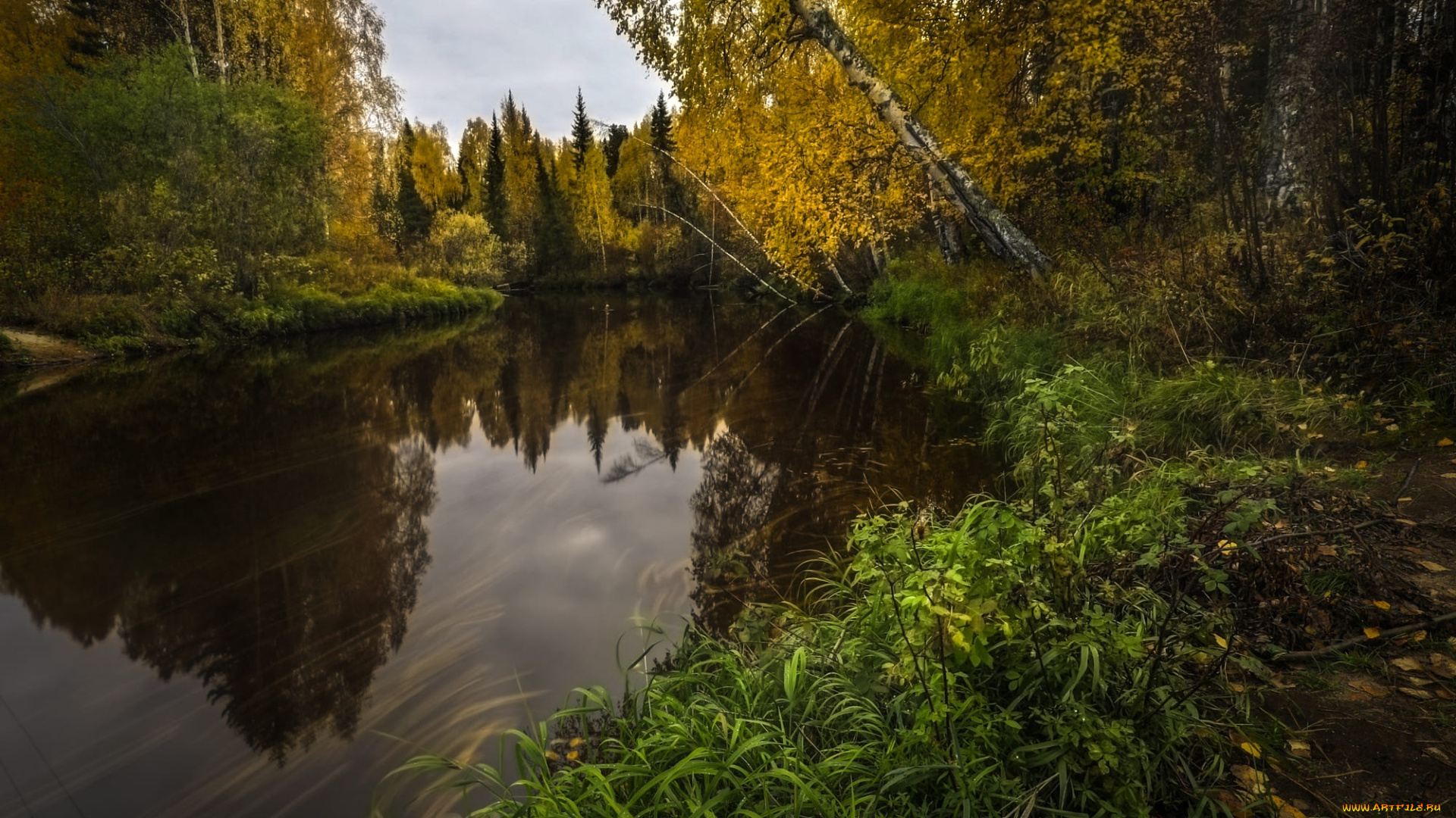 природа, реки, озера, пейзаж