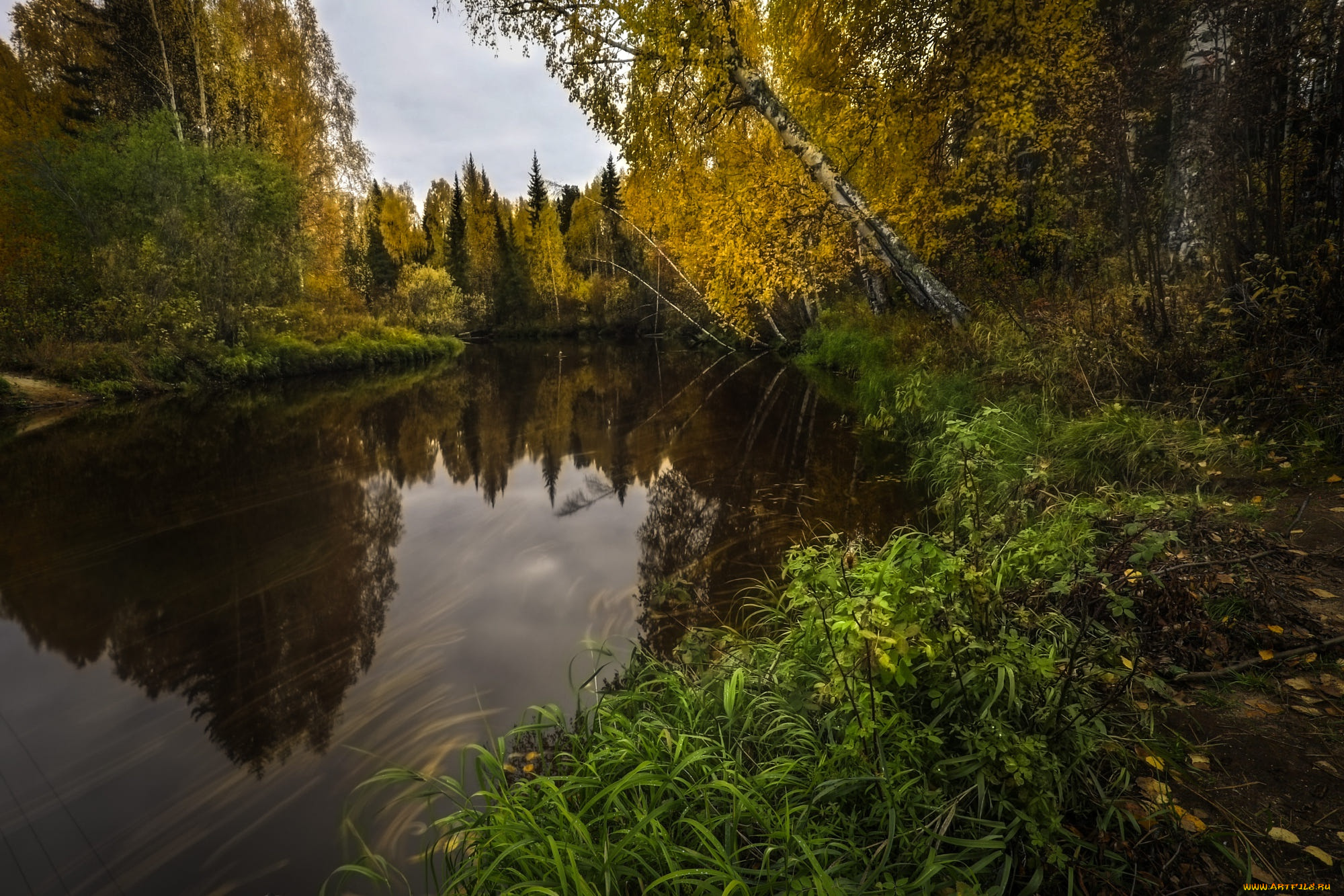 природа, реки, озера, пейзаж