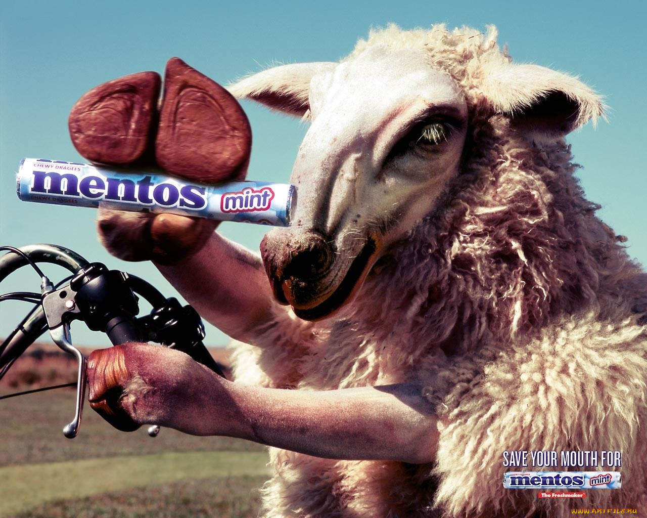 бренды, mentos