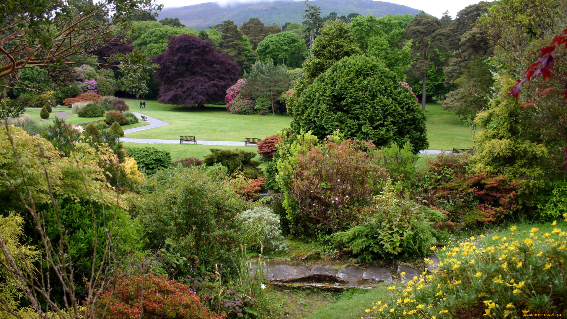 muckross, house, gardens, ирландия, природа, парк, растения, скамейки, сад