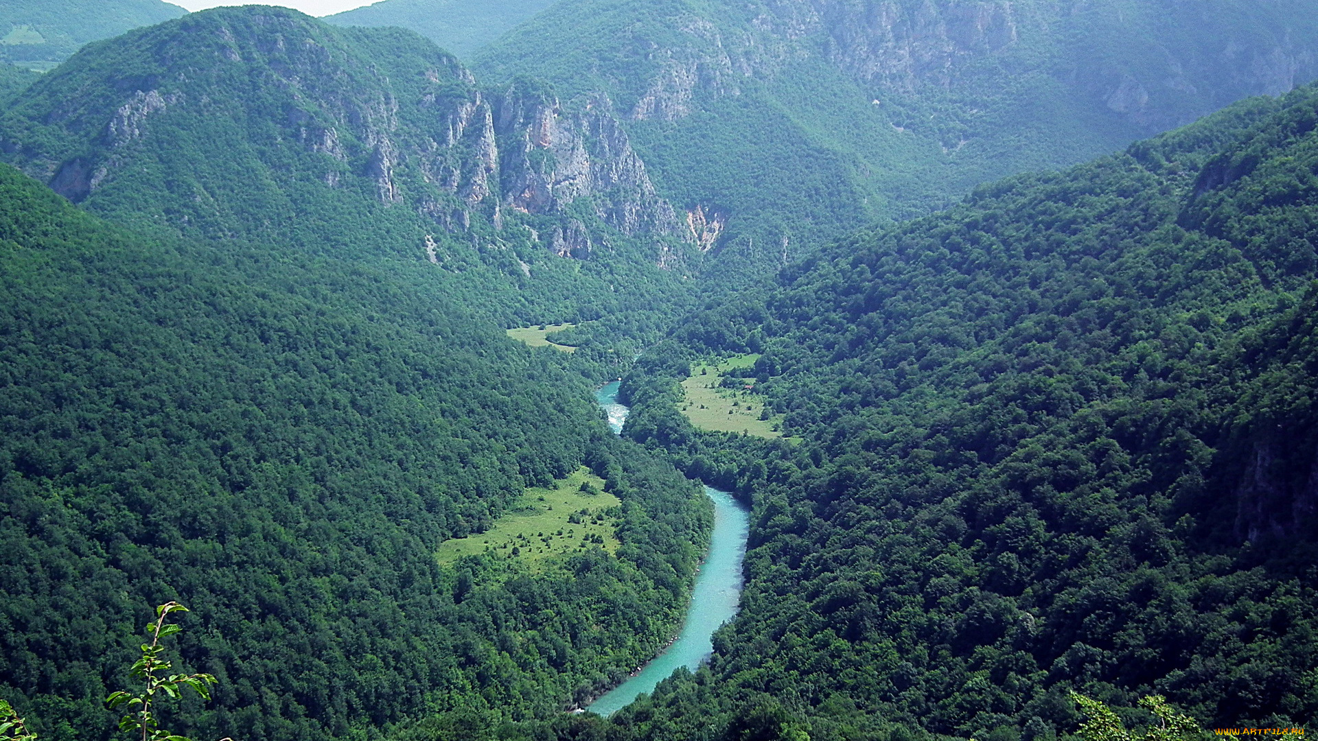 tara, river, canyon, Черногория, природа, горы