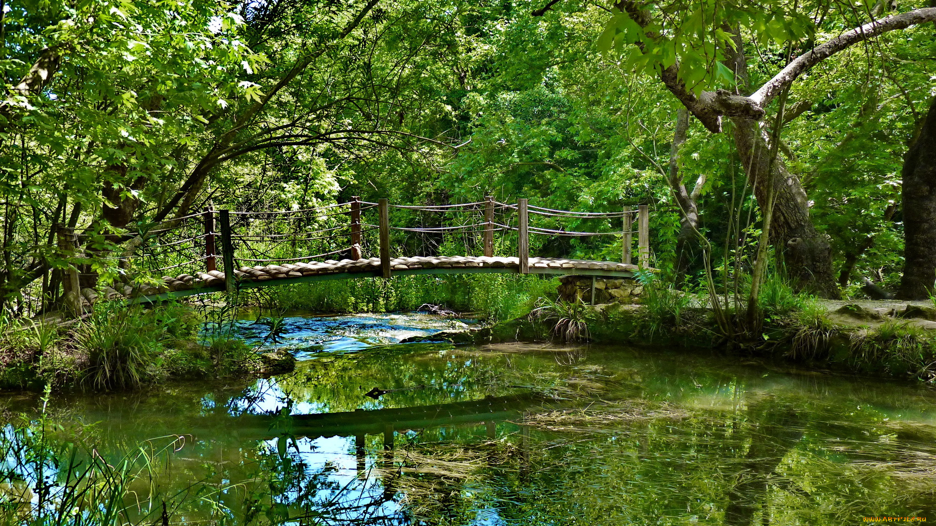 турция, анталия, kursunlu, park, природа, парк, мостик