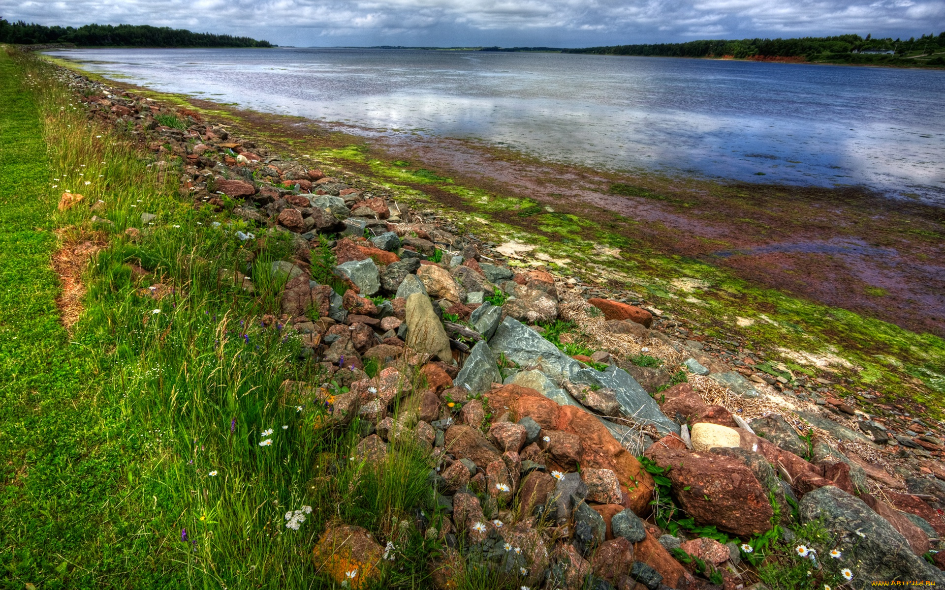 st, peter`s, bay, природа, реки, озера, берег, трава, камни, река