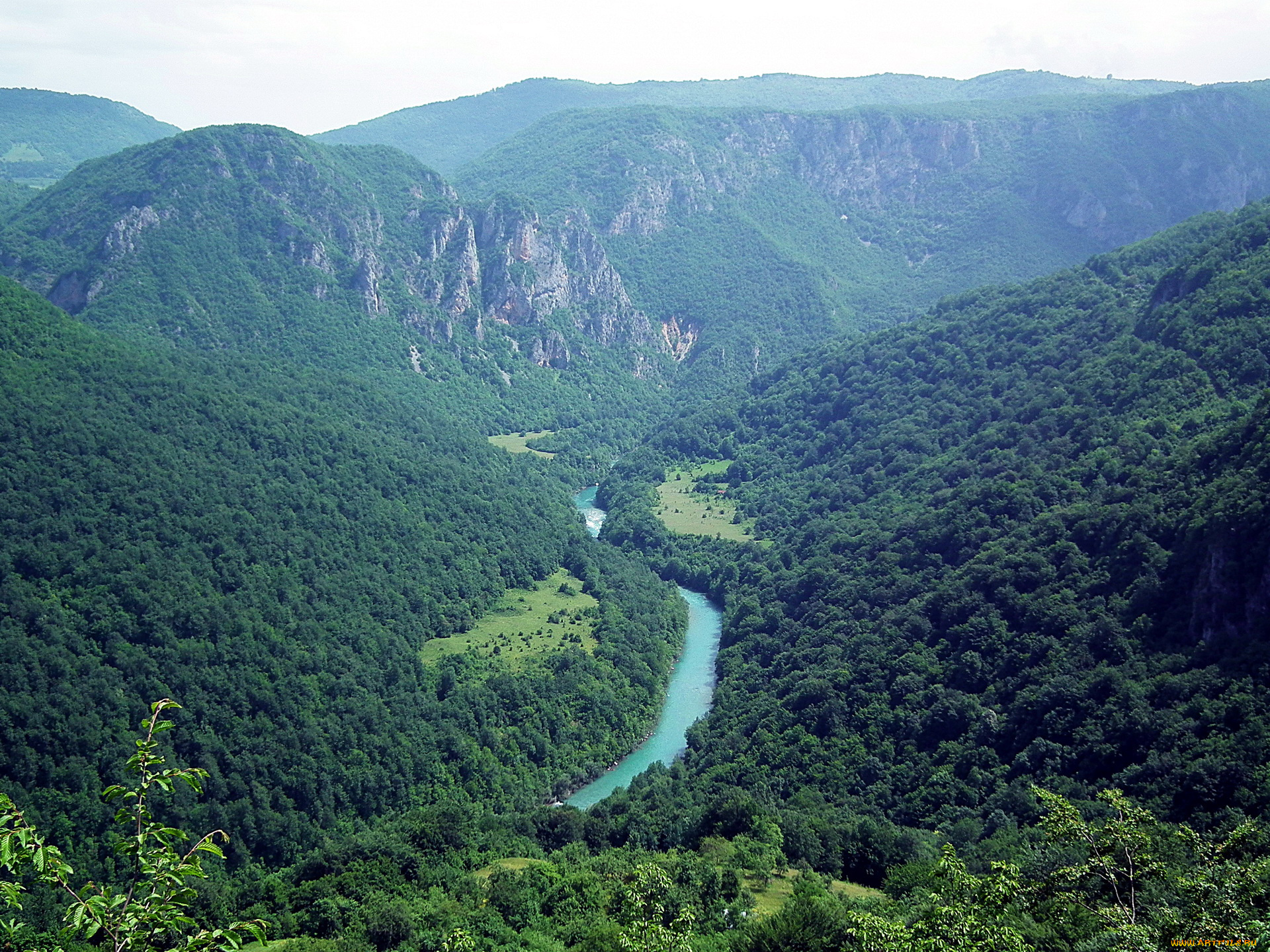 tara, river, canyon, Черногория, природа, горы