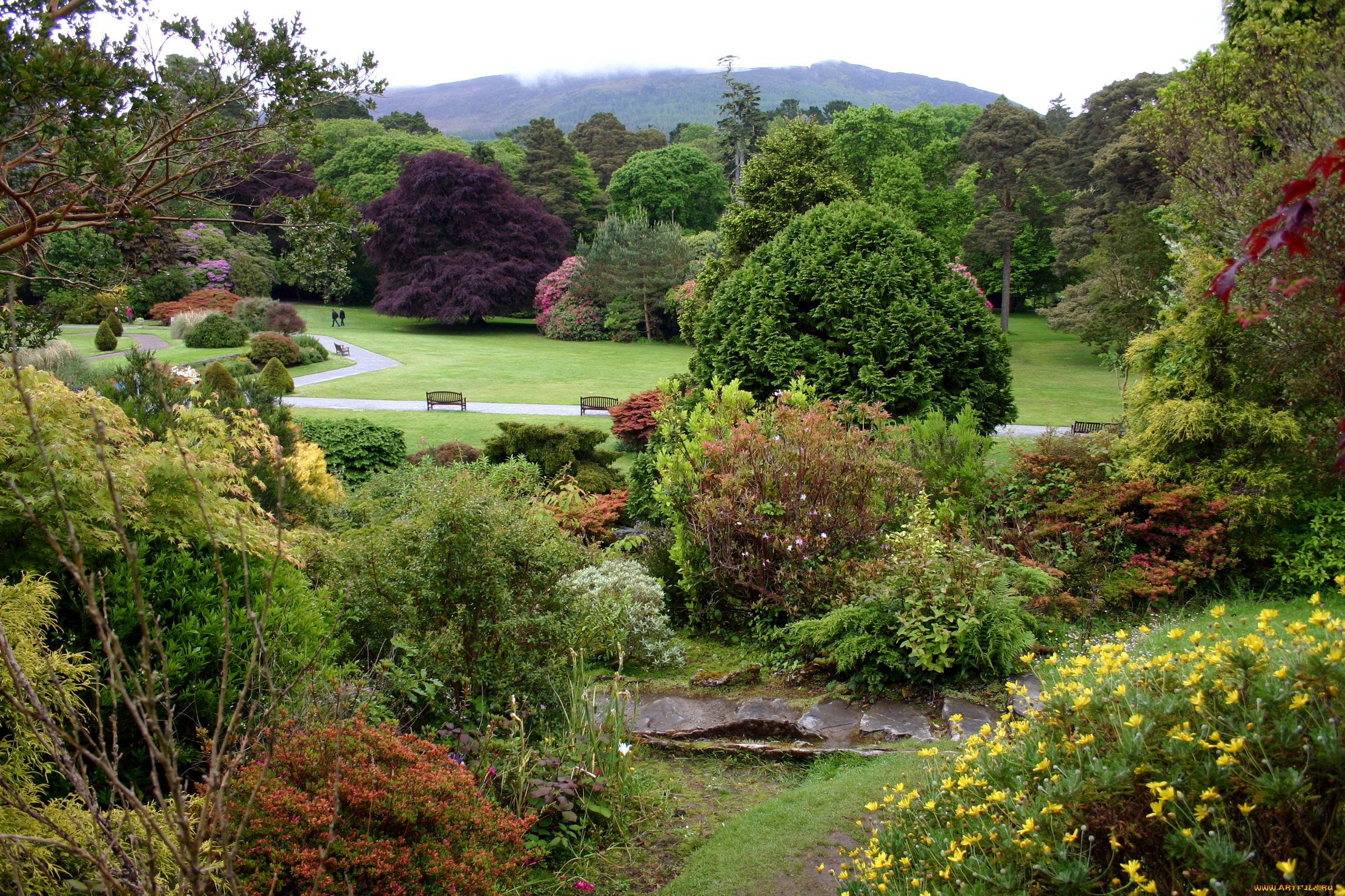 muckross, house, gardens, ирландия, природа, парк, растения, скамейки, сад