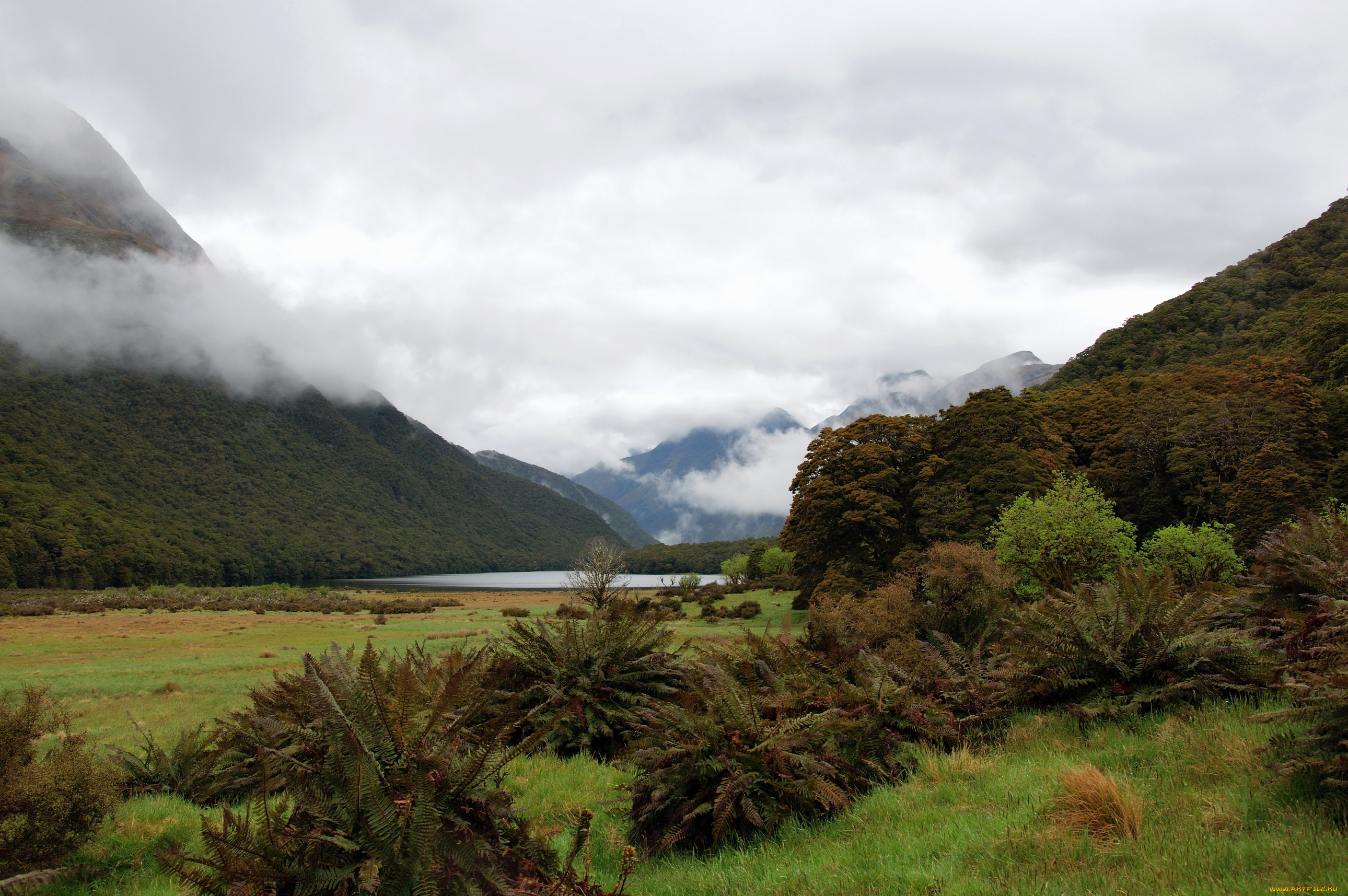 fiordland, national, park, новая, зеландия, природа, горы, дымка