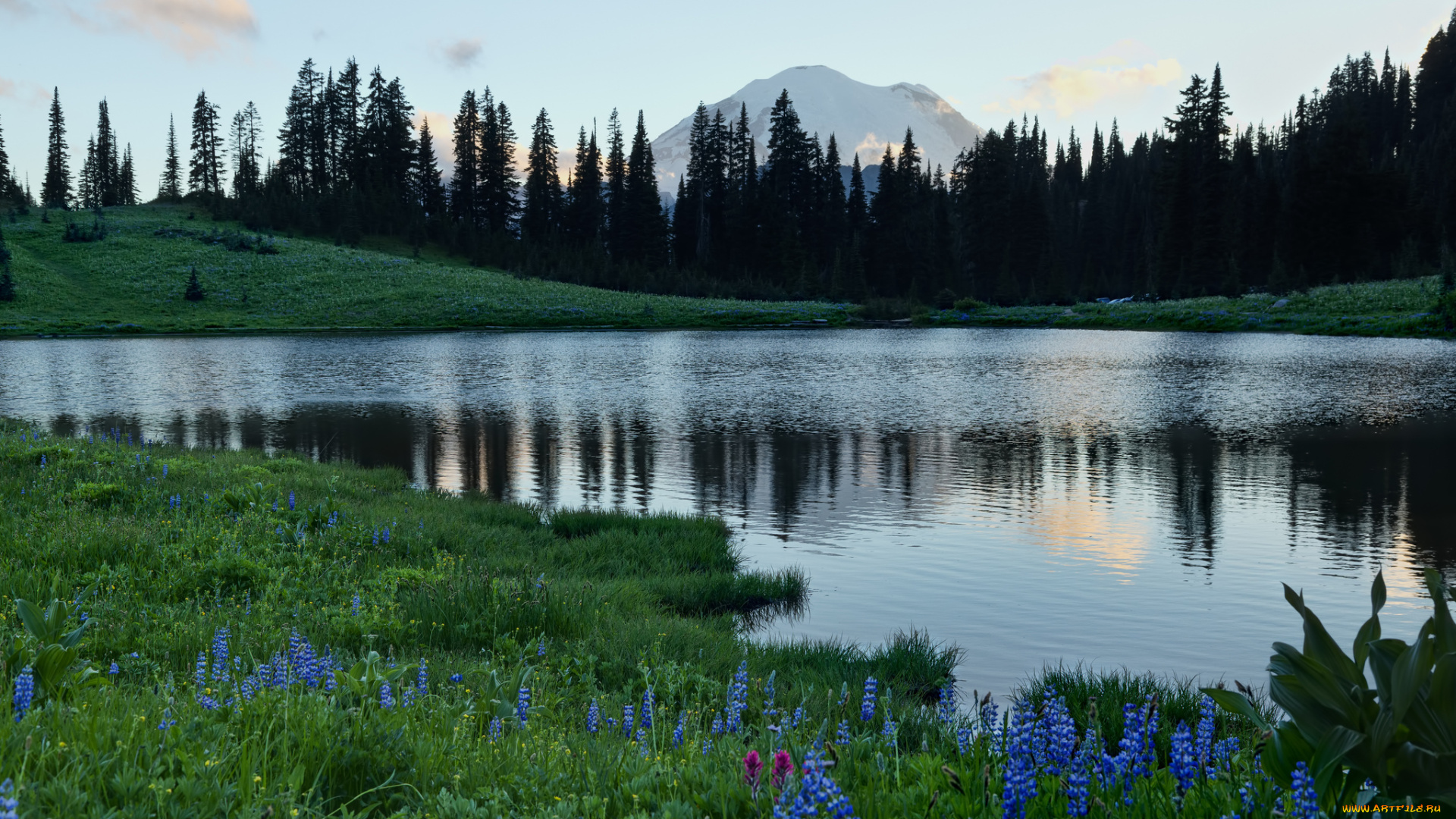 Mount Rainier and Tipsoo Lake, Washington без смс