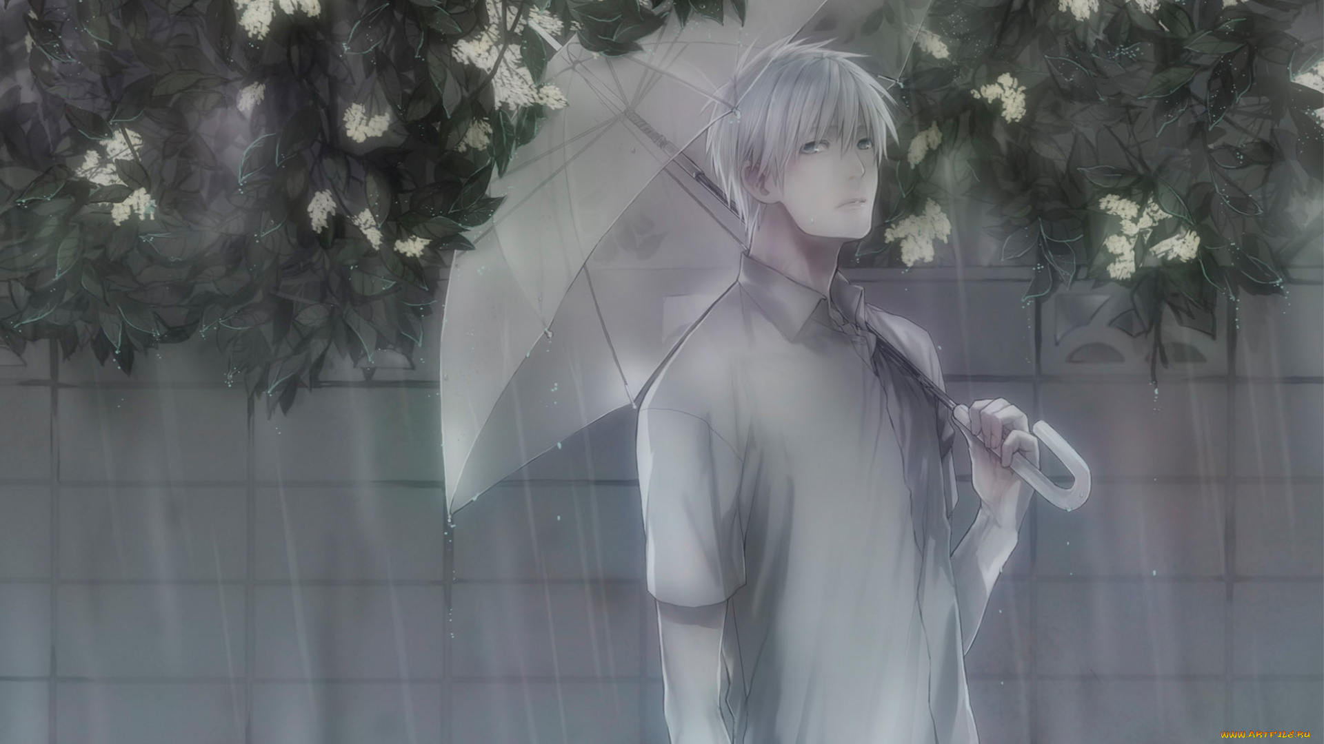аниме, kuroko, no, baske, kuroko, no, basket, tetsuya, баскетбол, куроко, парень, дождь, зонт, цветы