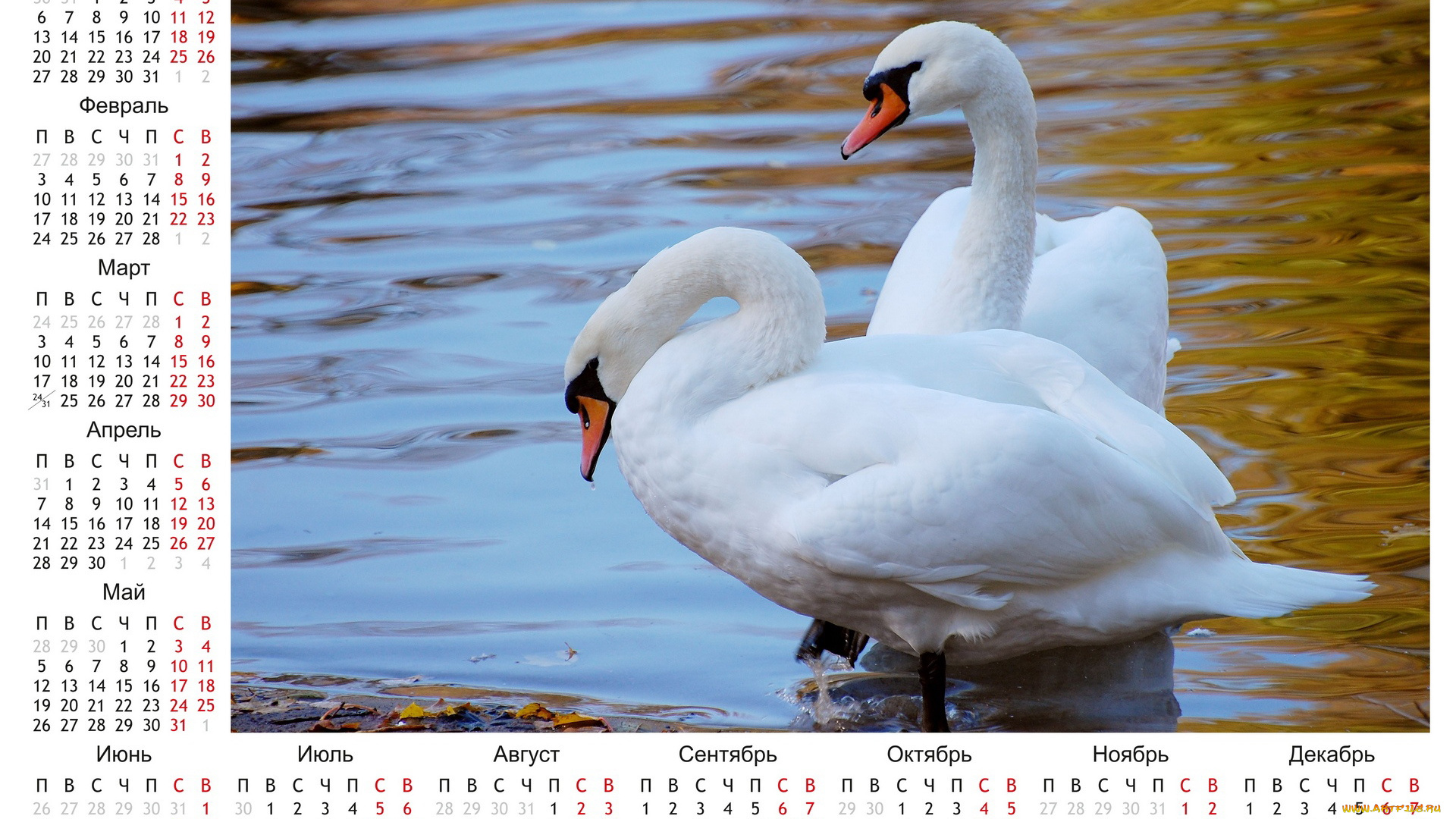 календари, животные, лебеди, календарь