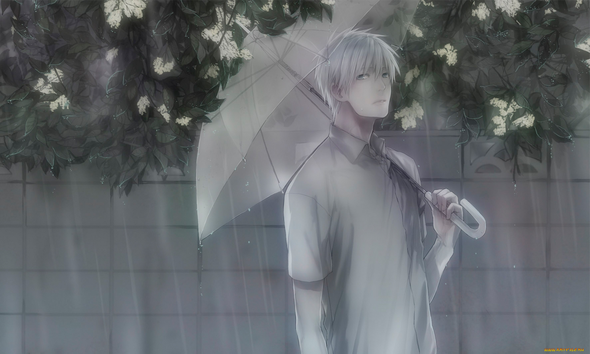 аниме, kuroko, no, baske, kuroko, no, basket, tetsuya, баскетбол, куроко, парень, дождь, зонт, цветы
